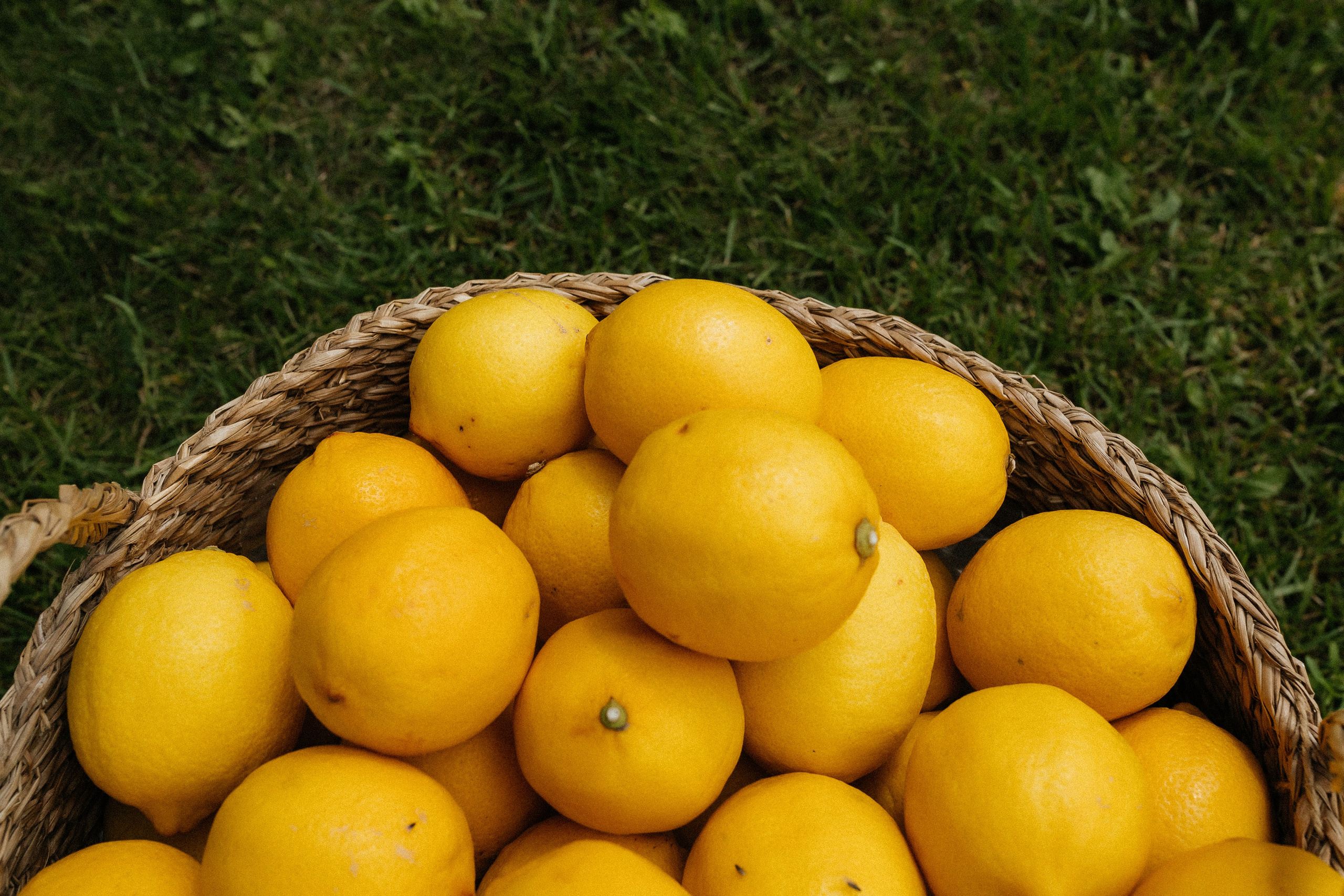 Аня Оушен Birthday party!. Свадебный фотограф в Москве Николай Болт