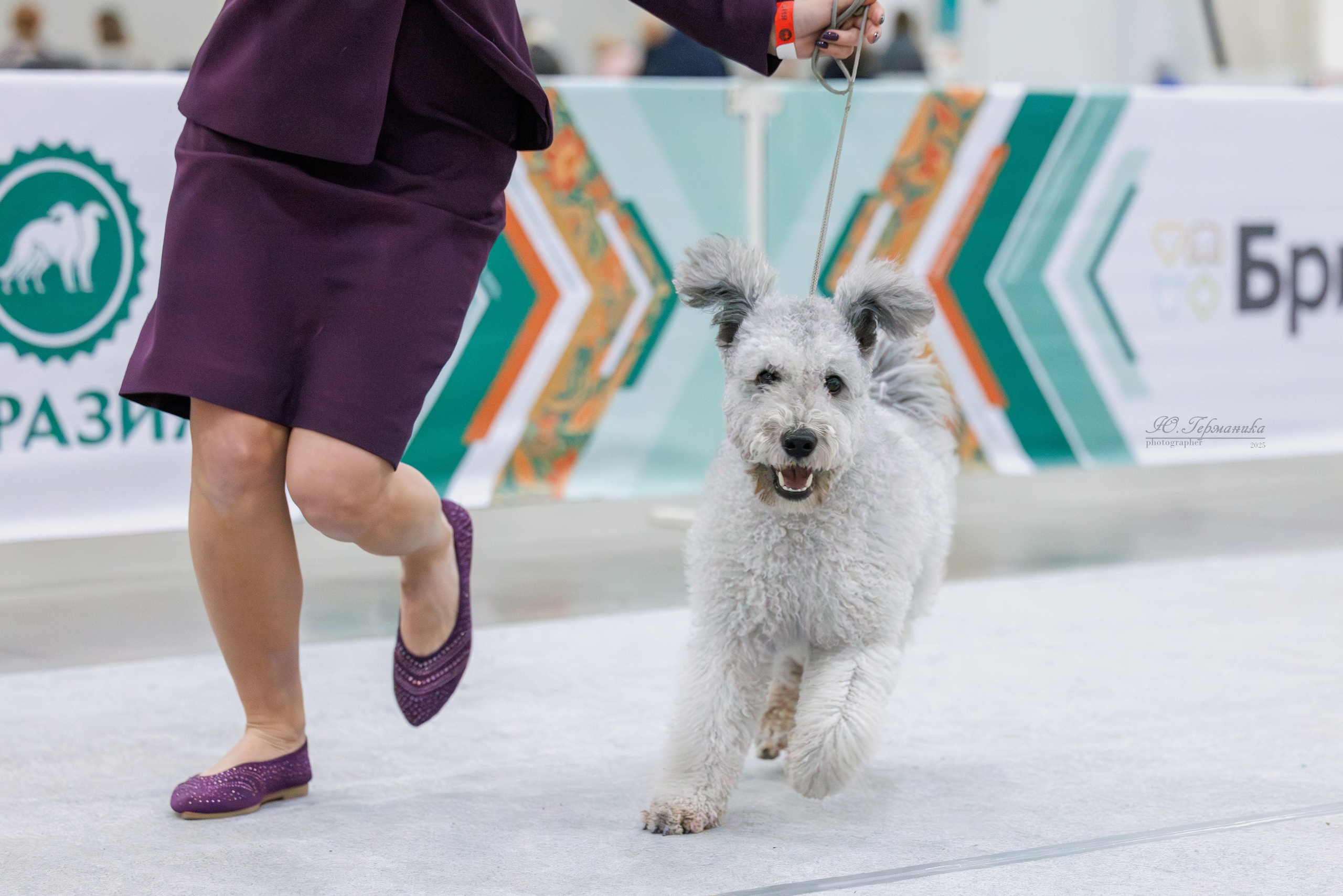 Евразия 15-16.11.2025. Фотограф-анималист Юлия Германика