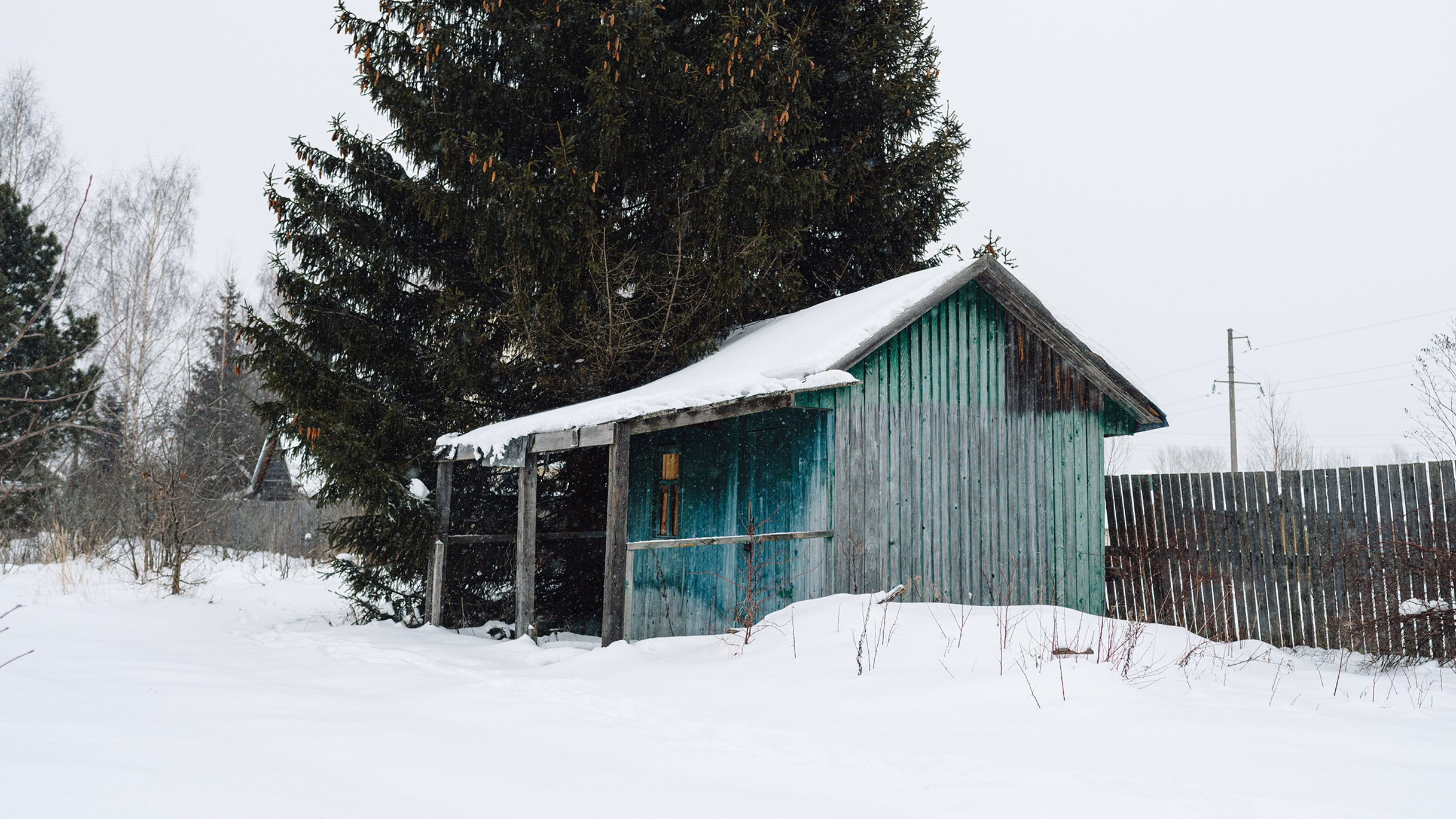 Январь. Komonev