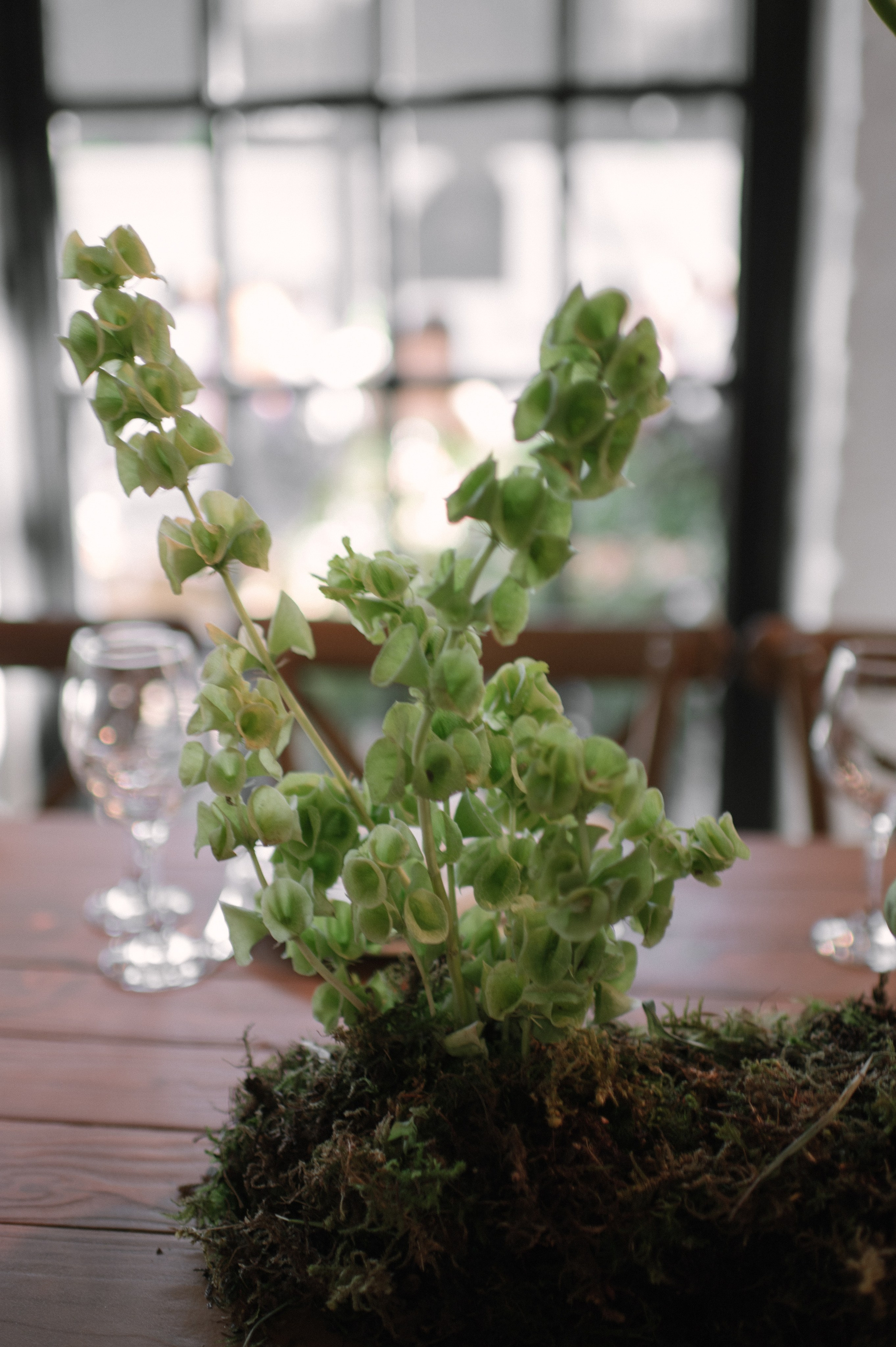 Никита & Катя. Оформление свадеб, декор свадеб Вера Маркова, Москва