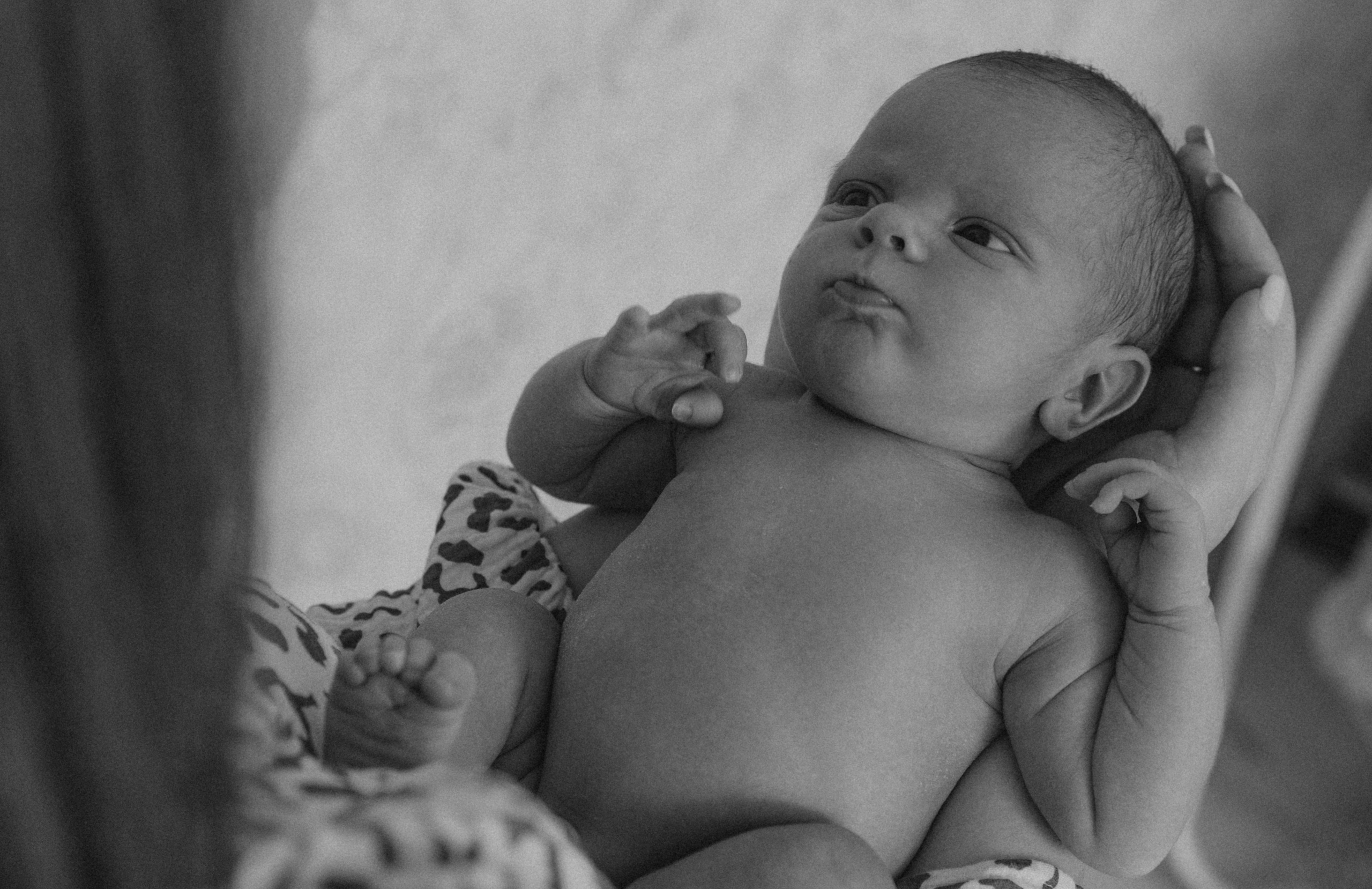 Сашенька. Свадебный и семейный фотограф в Москве Дарья Тюленева