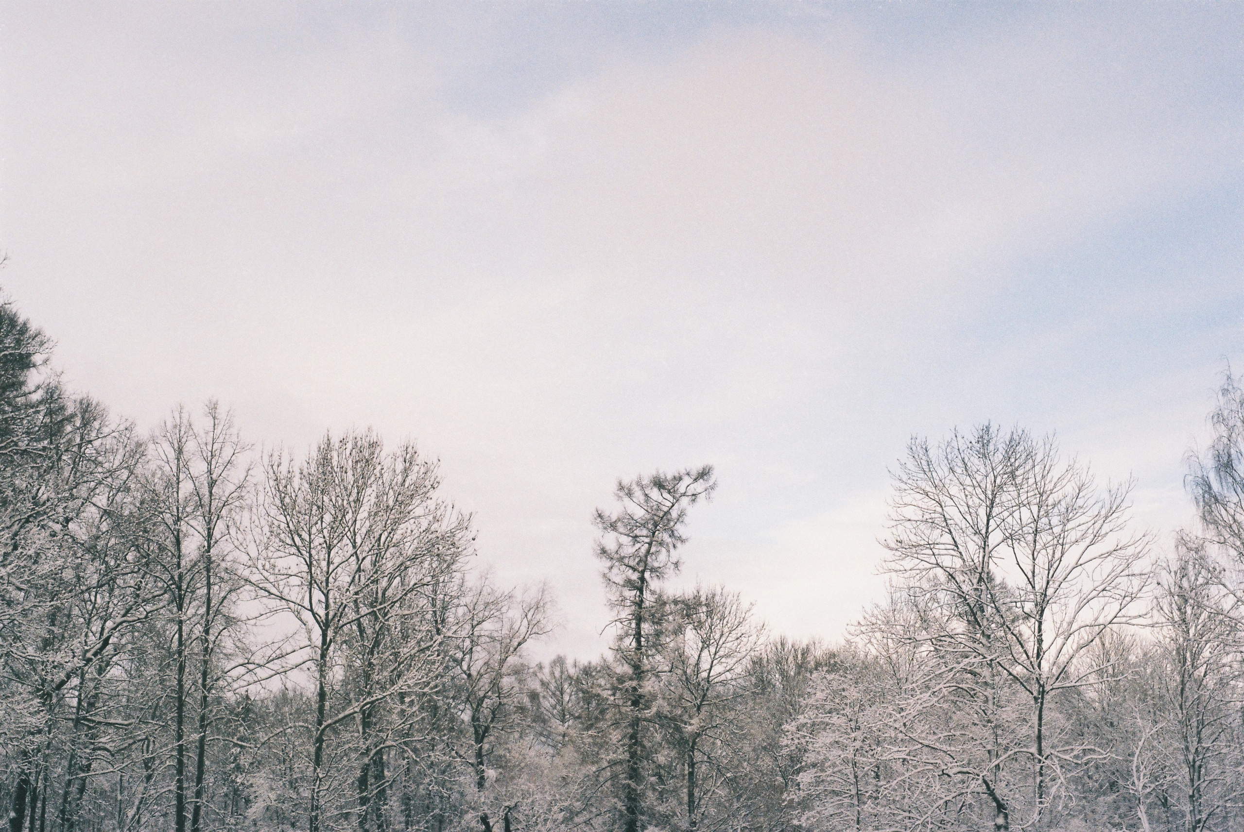 Film. Ruslan UI Dev Page