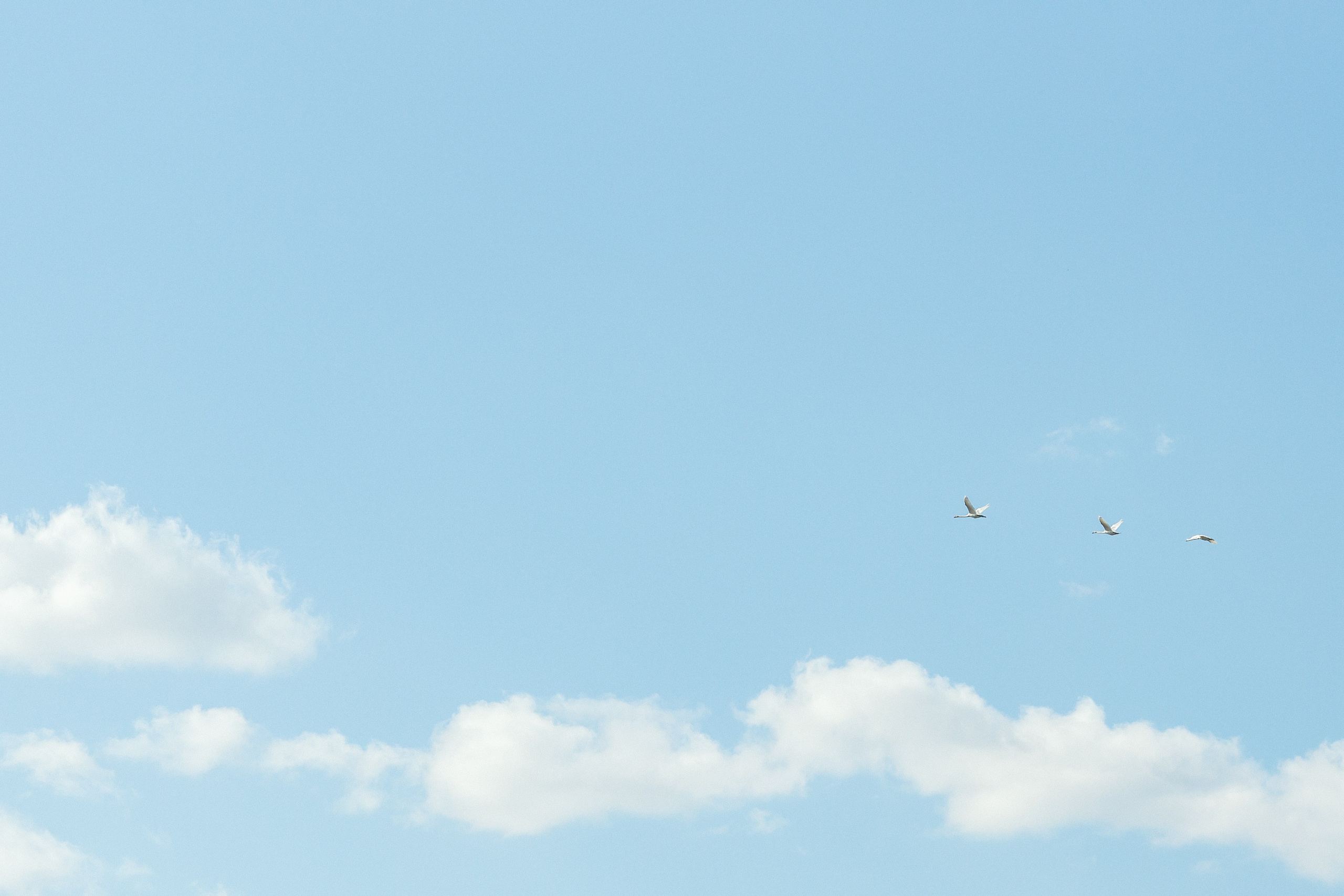 Рамазан Фест. Нияз Саляхов фотограф Казань Татарстан