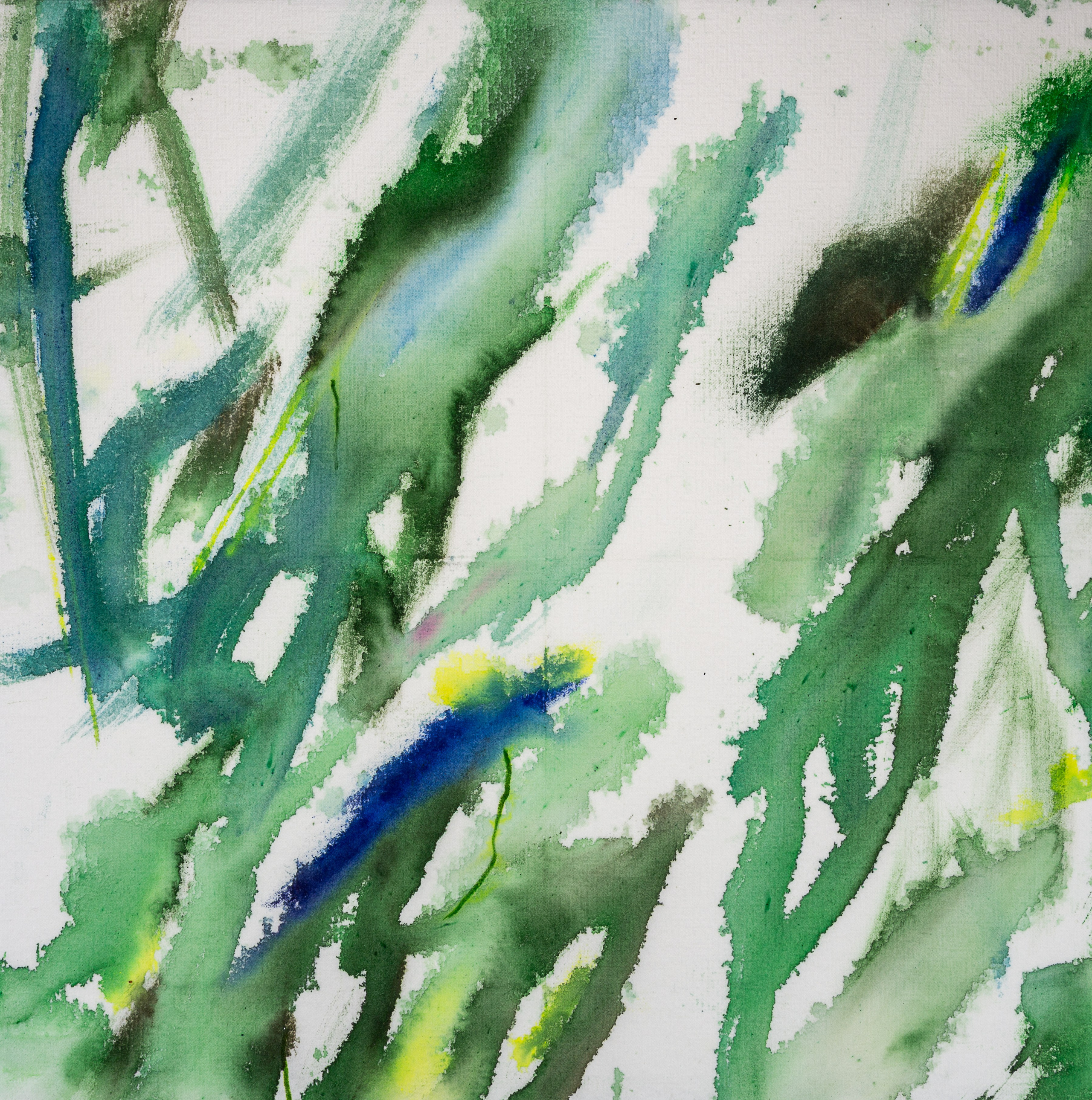 Аня Ким — Дикий сад