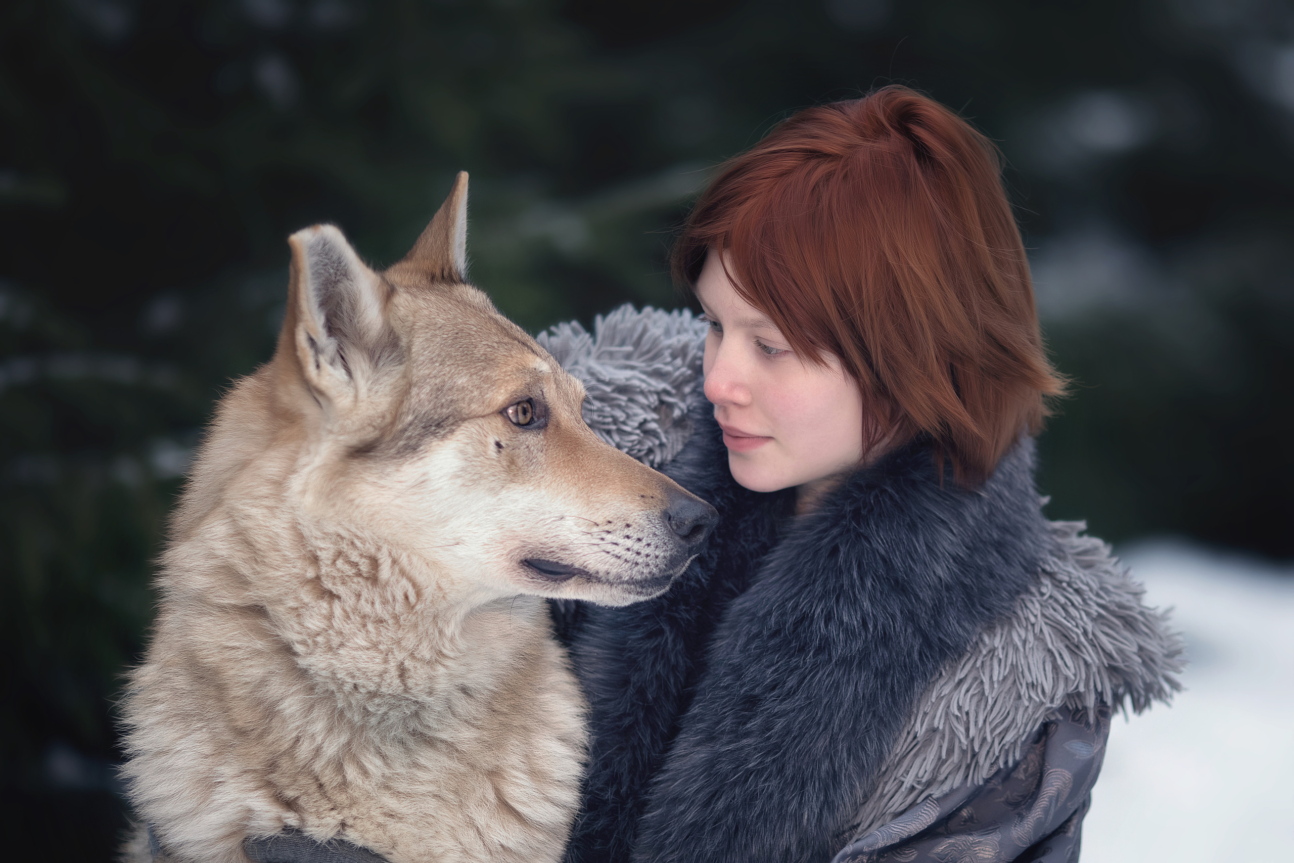 Viking & Wolf. Children’s and family photographer Ekaterina Ureva in Moscow