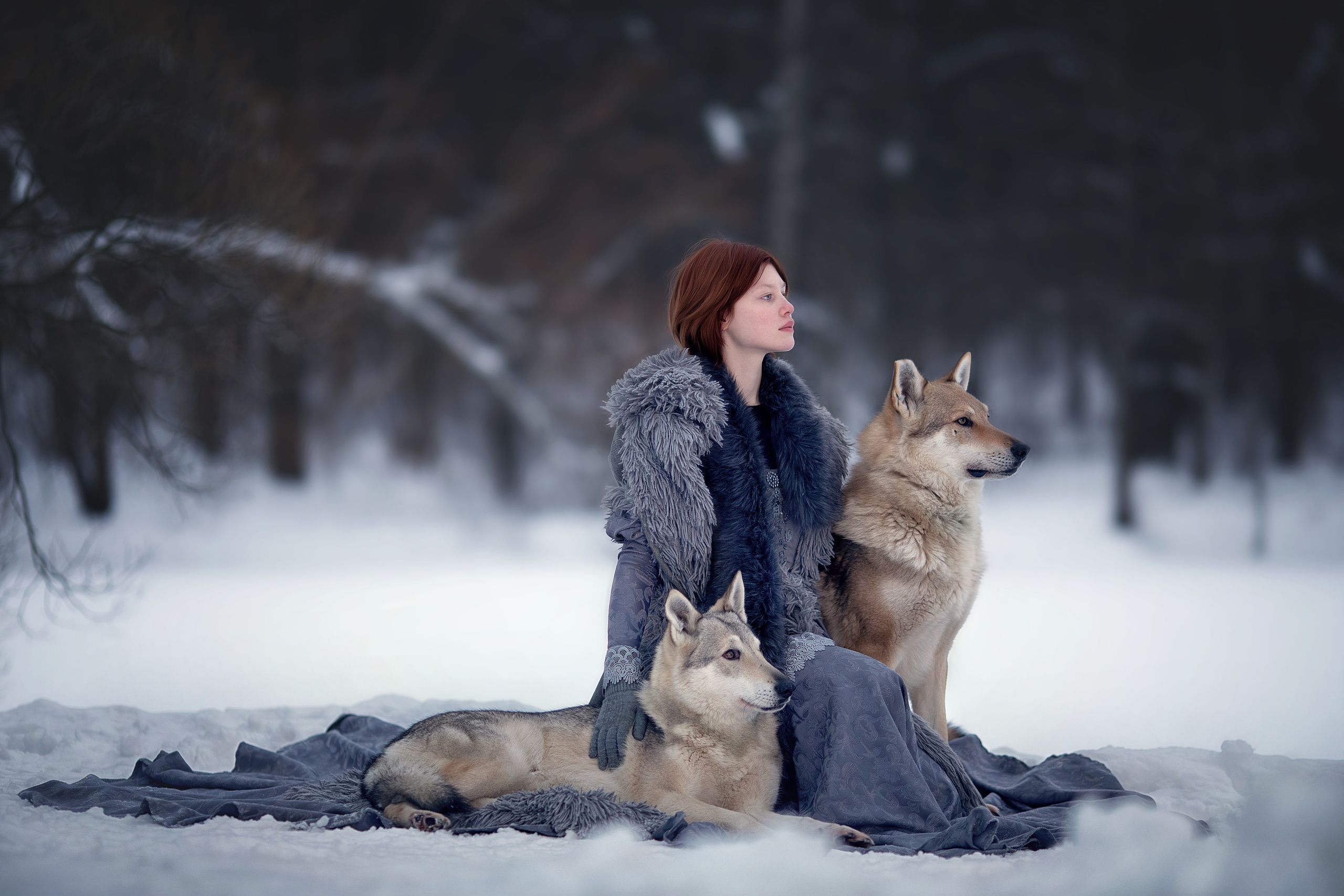 Viking & Wolf. Children’s and family photographer Ekaterina Ureva in Moscow