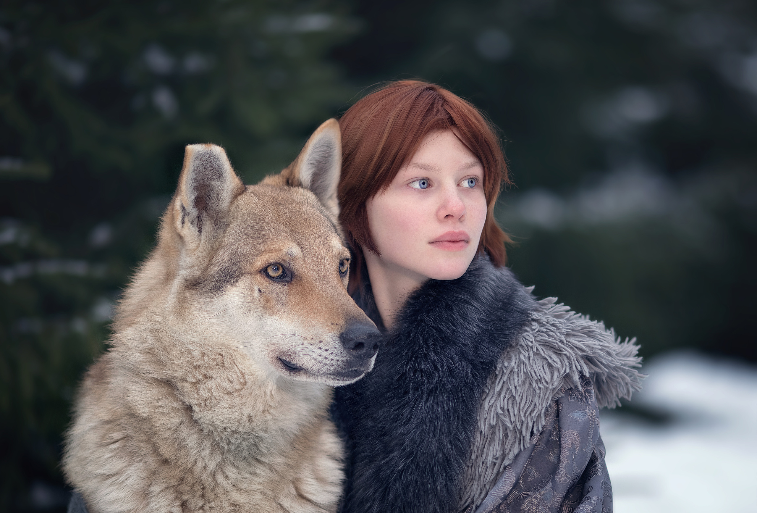 Viking & Wolf. Children’s and family photographer Ekaterina Ureva in Moscow