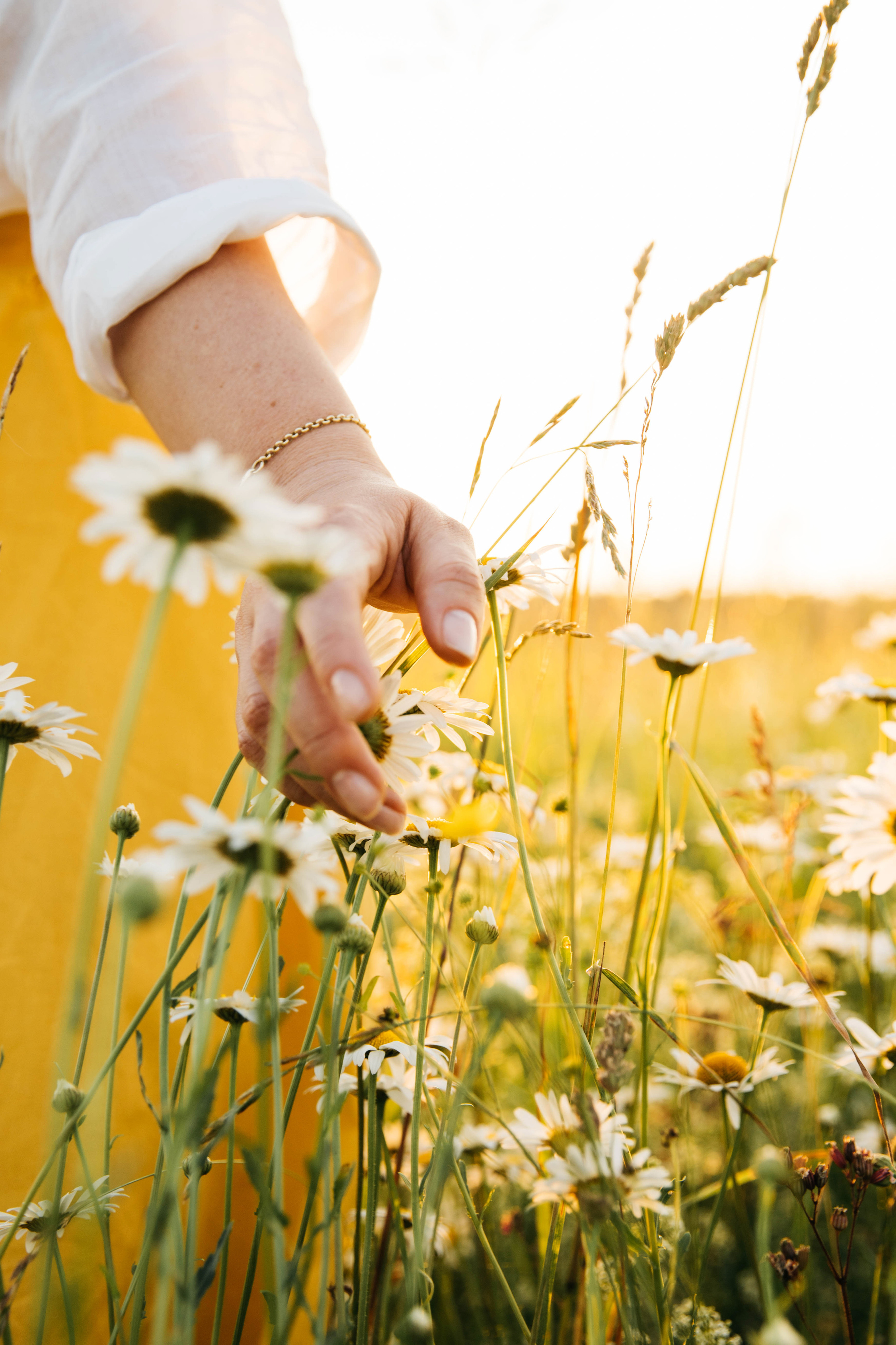 Ромашковый июнь. Женский и семейный фотограф в Туле Катя Вуколова