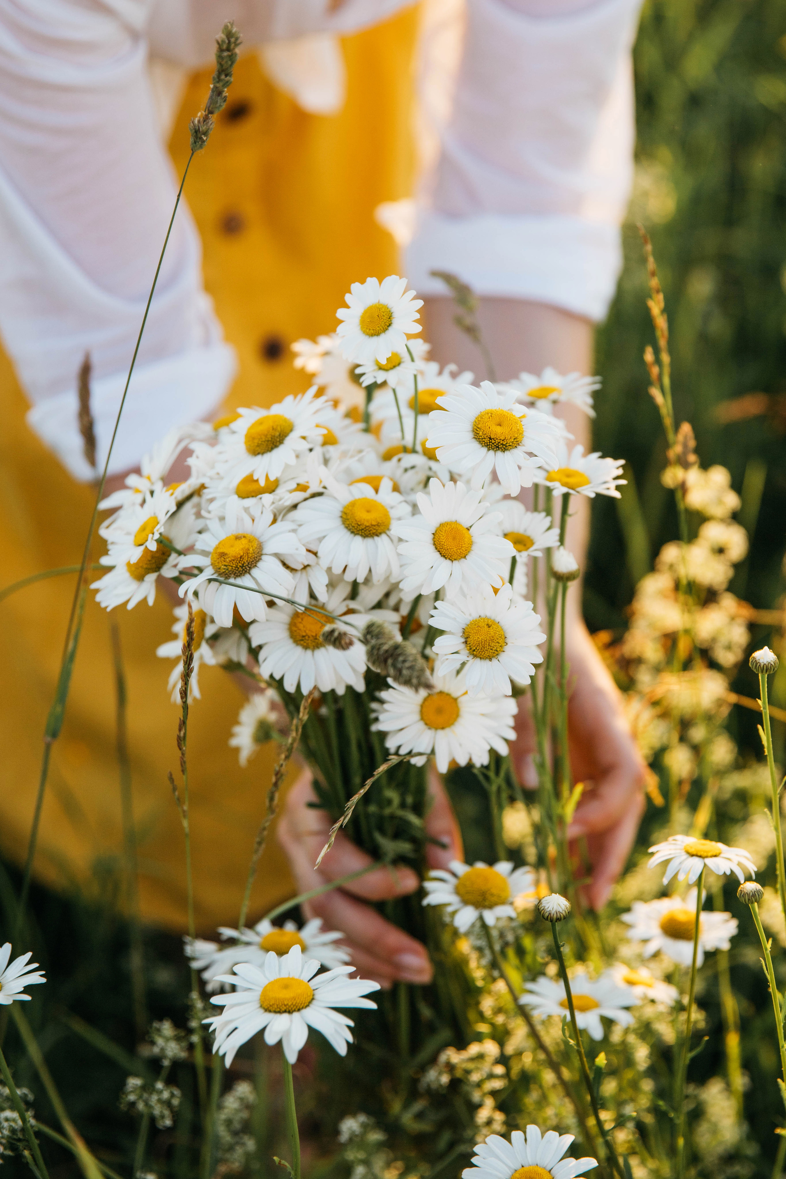 Ромашковый июнь. Женский и семейный фотограф в Туле Катя Вуколова