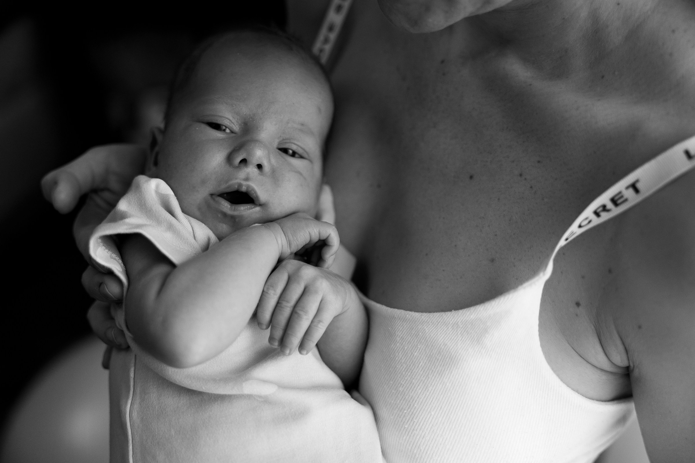 Месяц Александре. Фотограф Москва