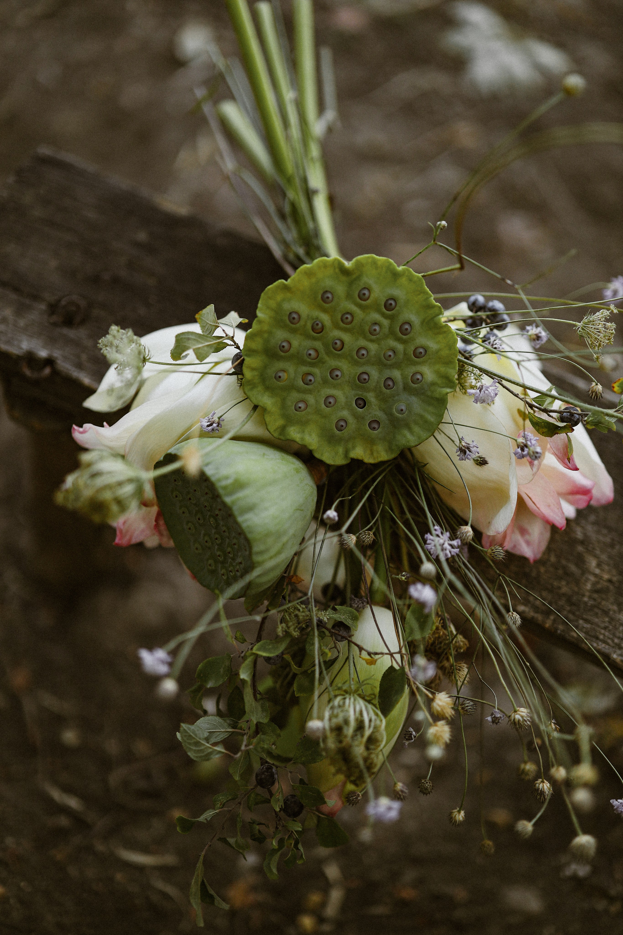 Офелия. Свадебный и семейный фотограф в Абхазии Жанна Соснина