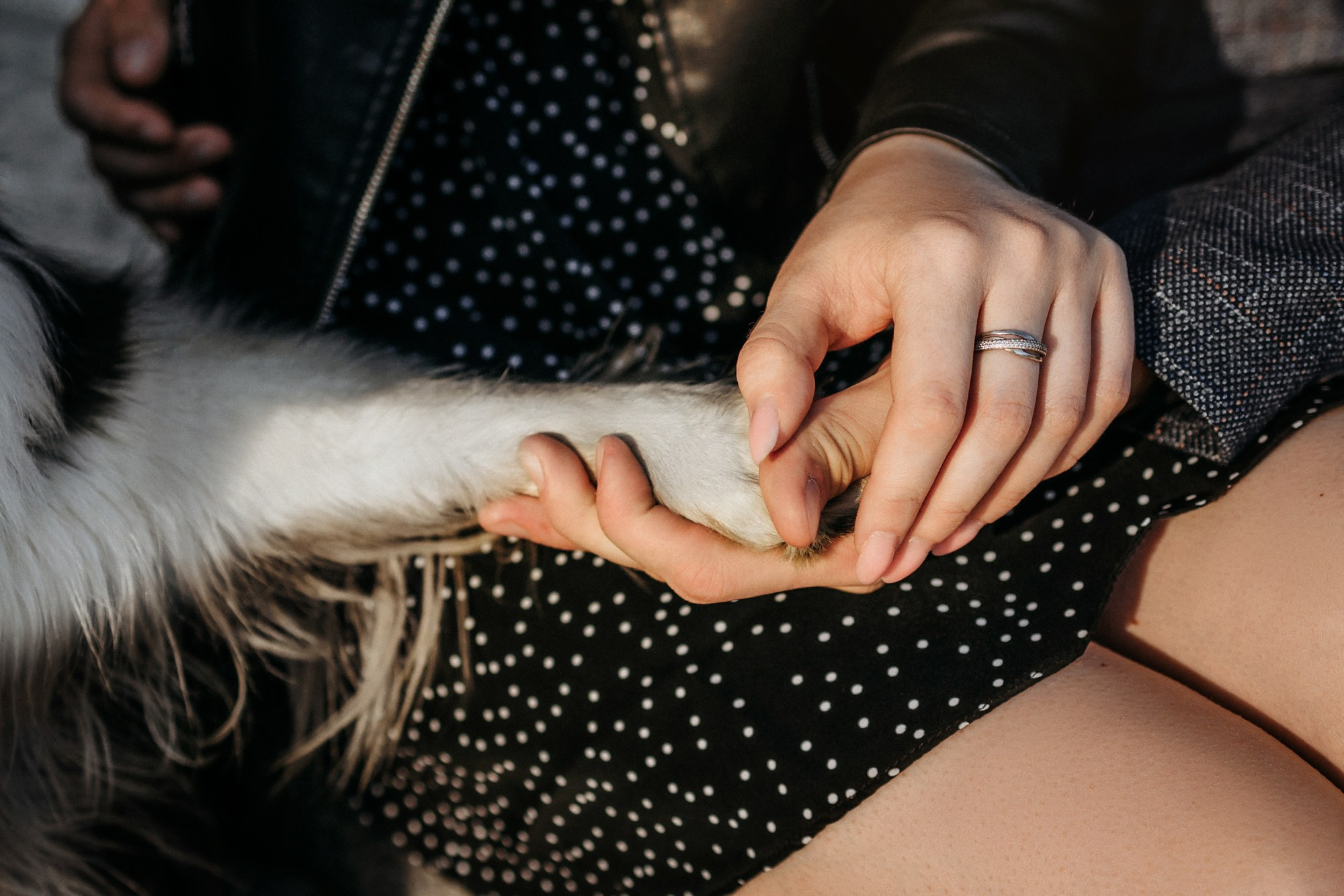 Аня и Иден. Фотограф-анималист Елена Радченко, Москва