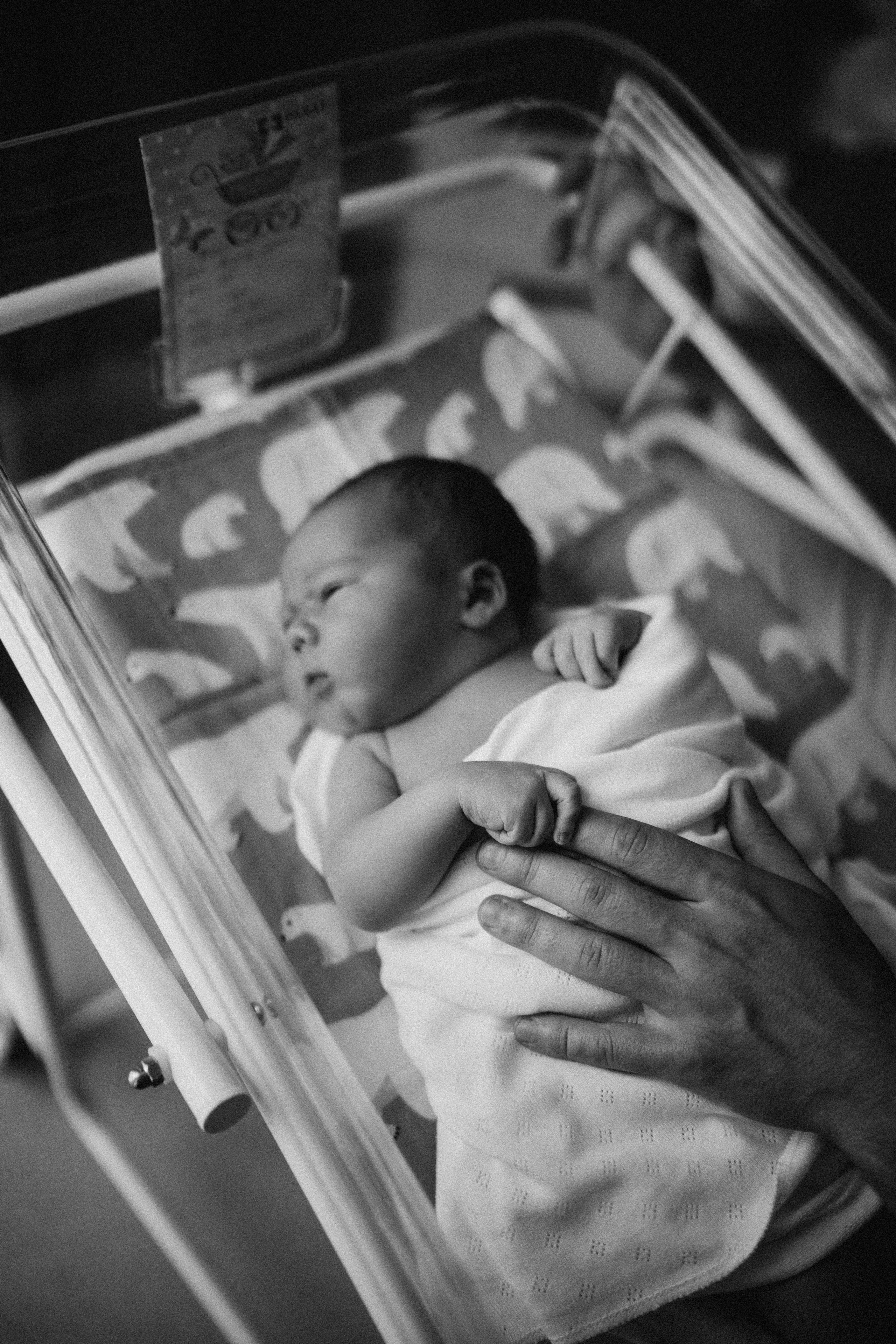 Тимур. Надежда Виховская — семейный фотограф в Астане