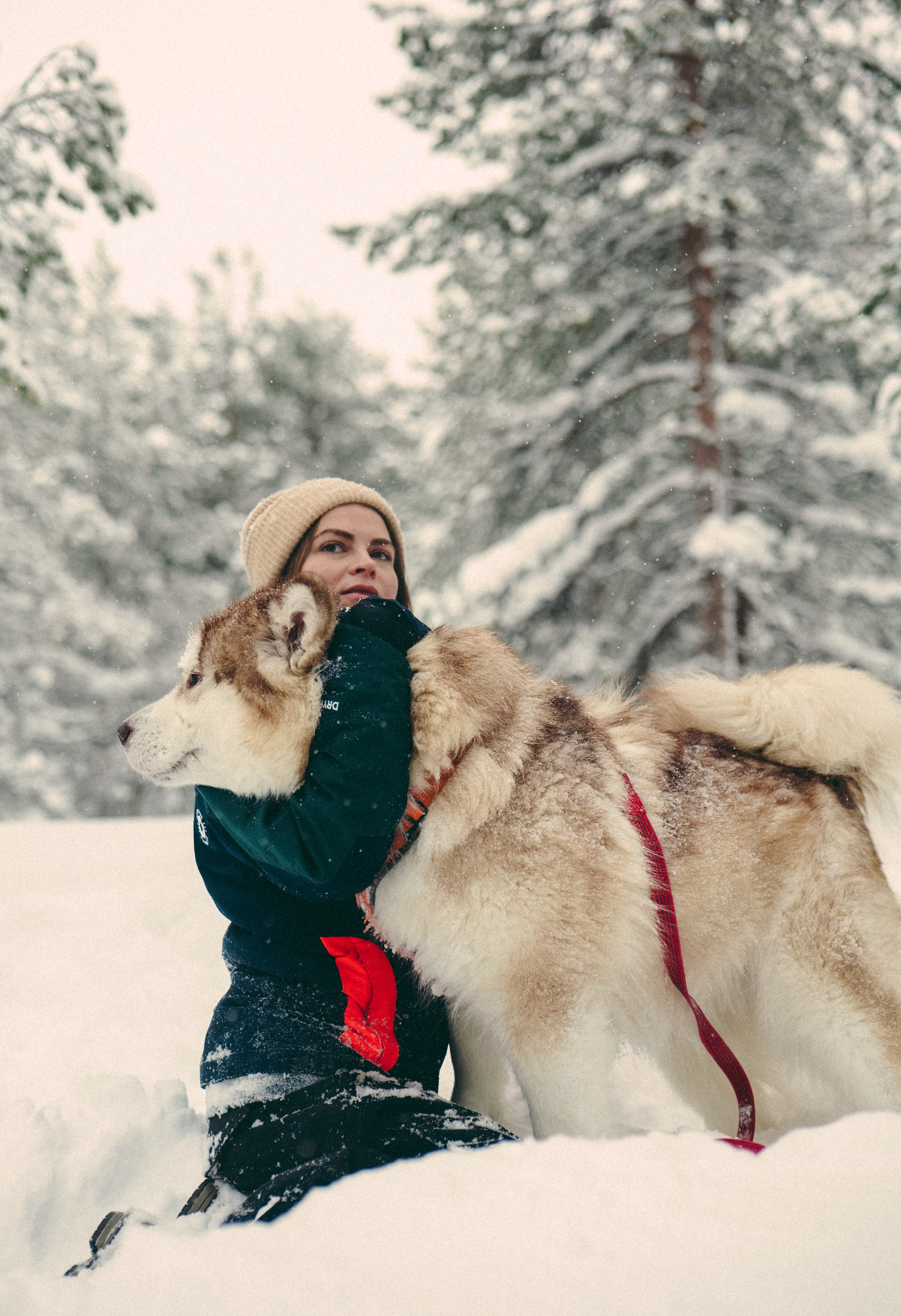 КАРЕЛИЯ / ЗИМА. Создание контента | Фото | Видеосъемка | Александр Ярков