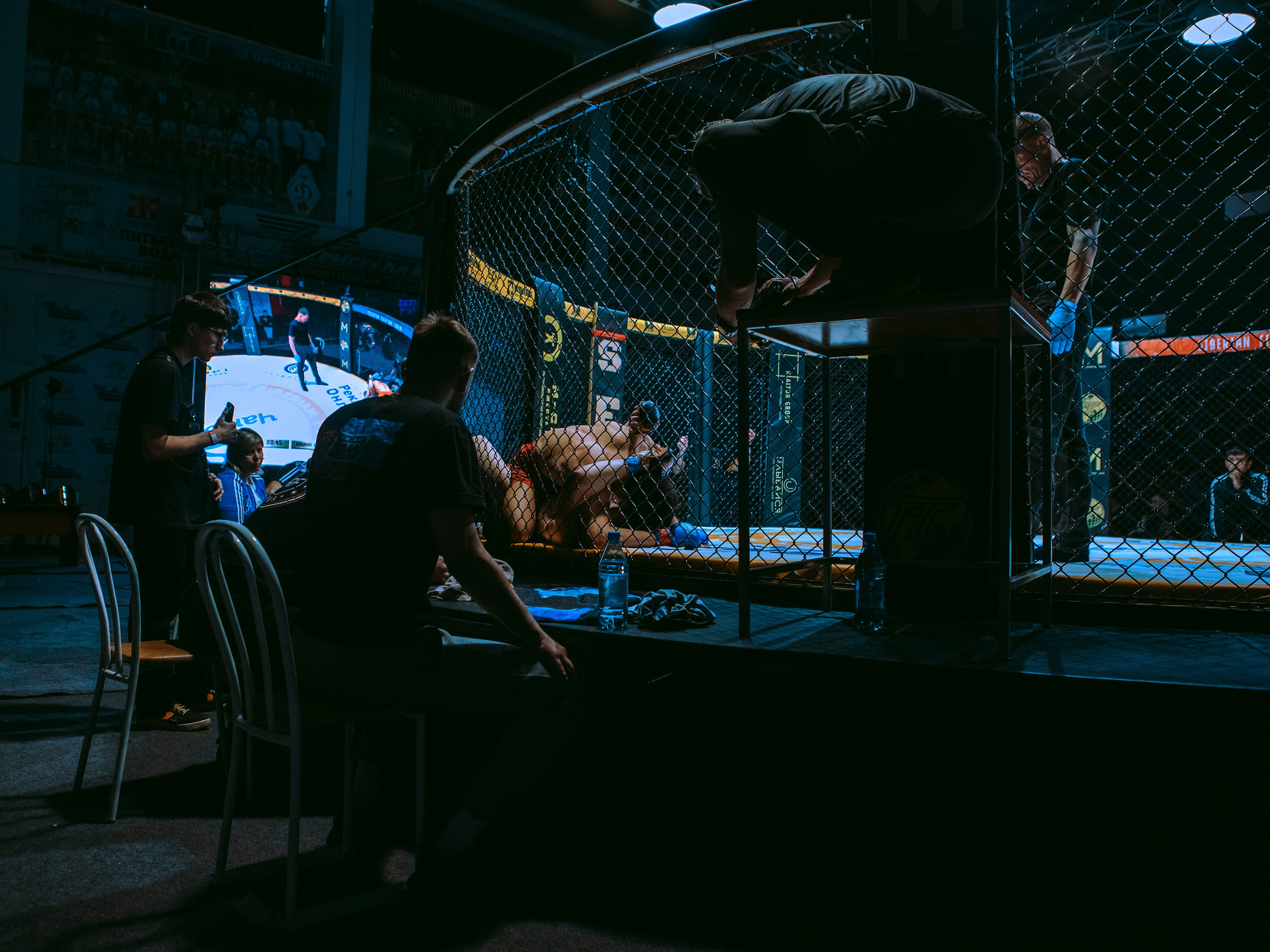 SFL 17 | Siberian Fighting League. Портретный фотограф в Москве Дарья Цезария