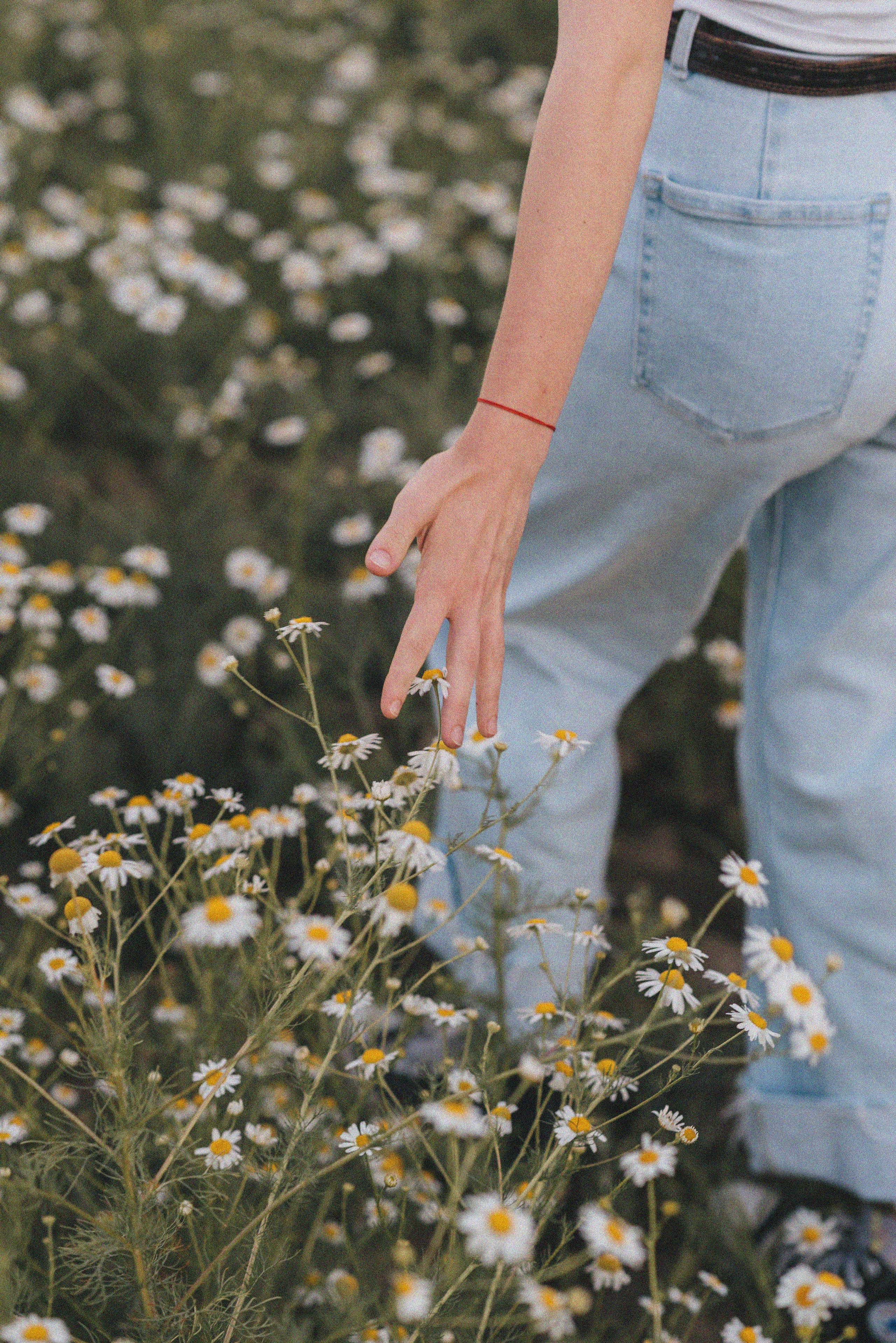 Лера и Варя. Детский и семейный фотограф Катерина Мишина