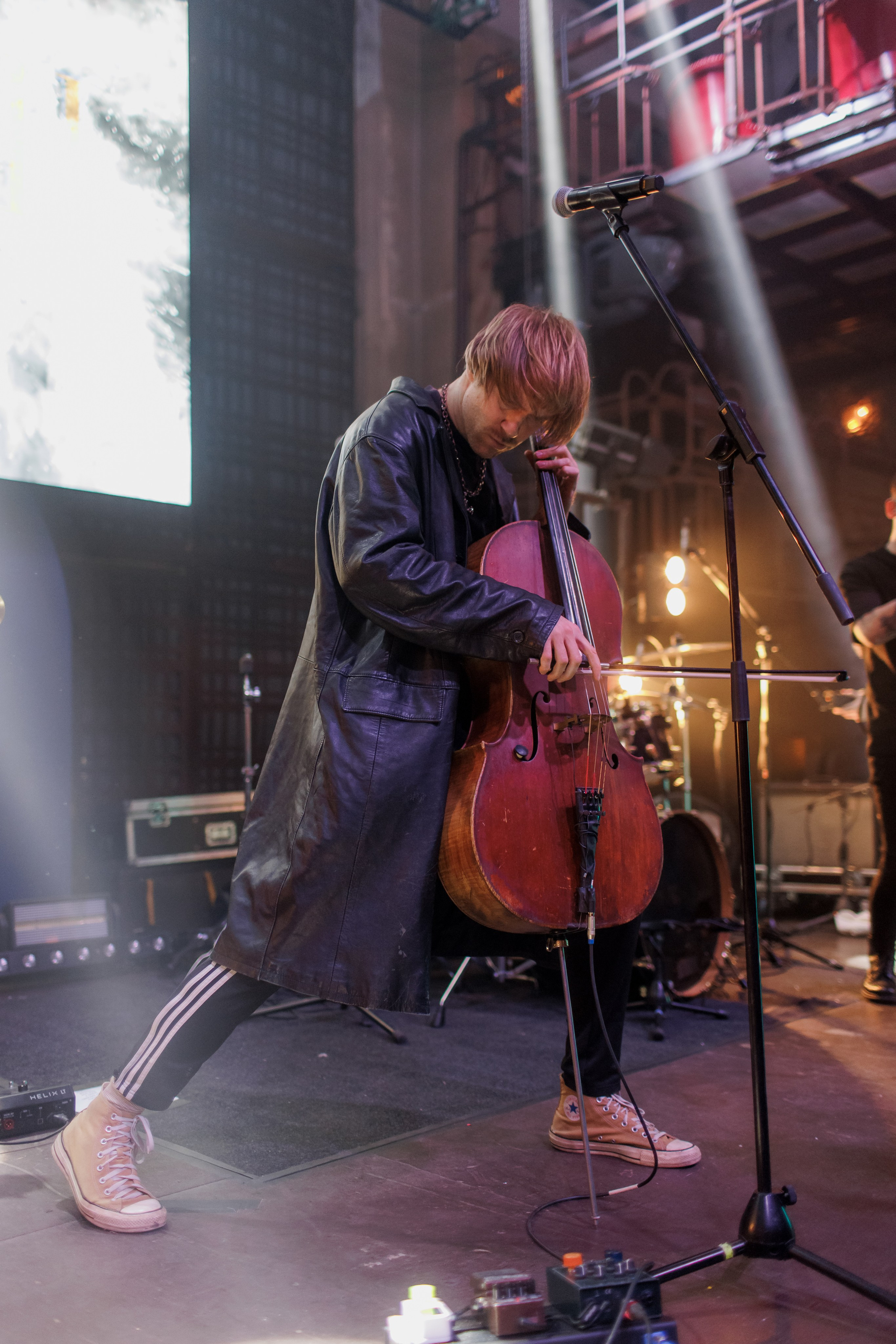 Hitech / Мутабор «Дельфин». Свадебный и семейный фотограф