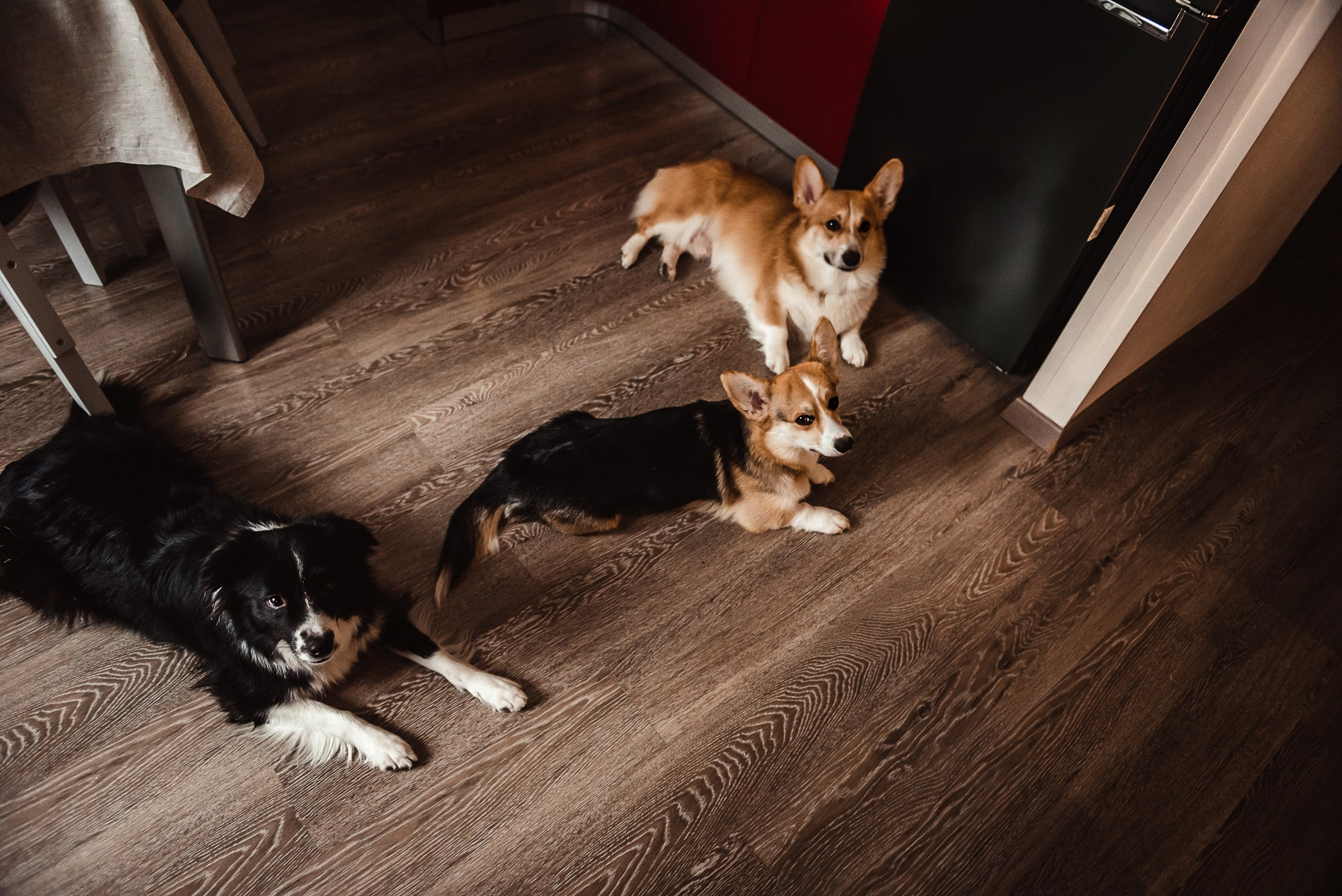 Пижамная вечеринка Тани и Димы. Семейный Фотограф в Москве Ирина Хохлова