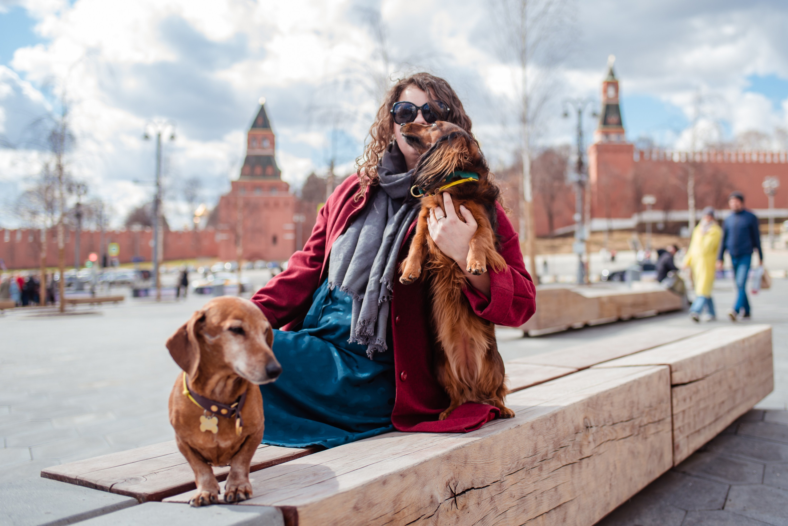 Таксы на Красной площади. Семейный Фотограф в Москве Ирина Хохлова