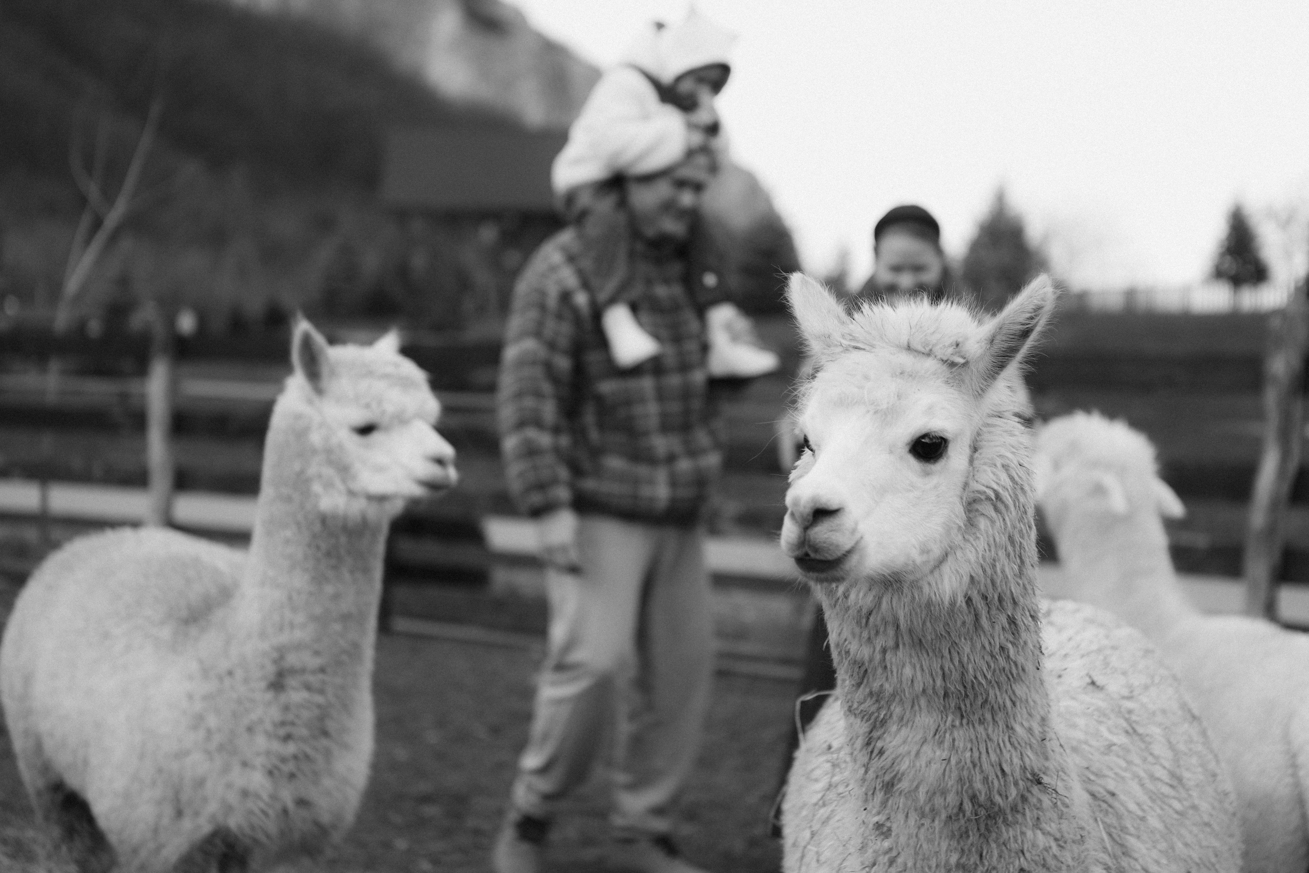 Чудесная девочка Майя и её родители. Фотограф в Крыму Богдана Захарчук