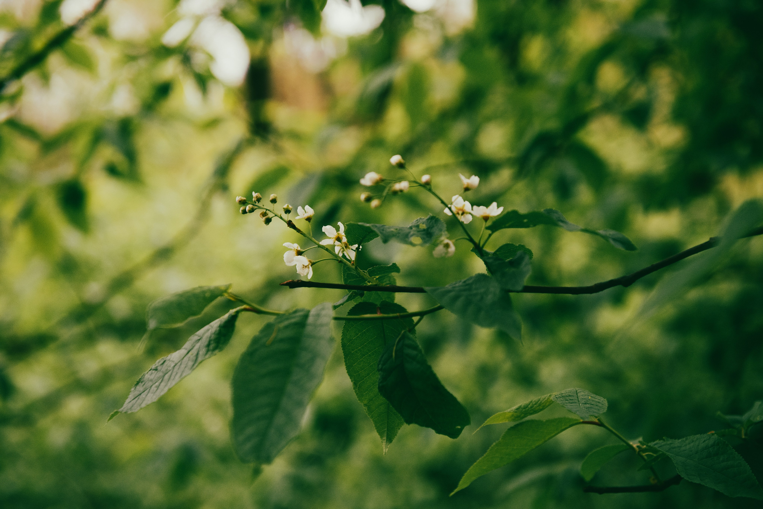 Текстуры апреля. Портретный и архитектурный фотограф в Москве и Санкт-Петербурге
