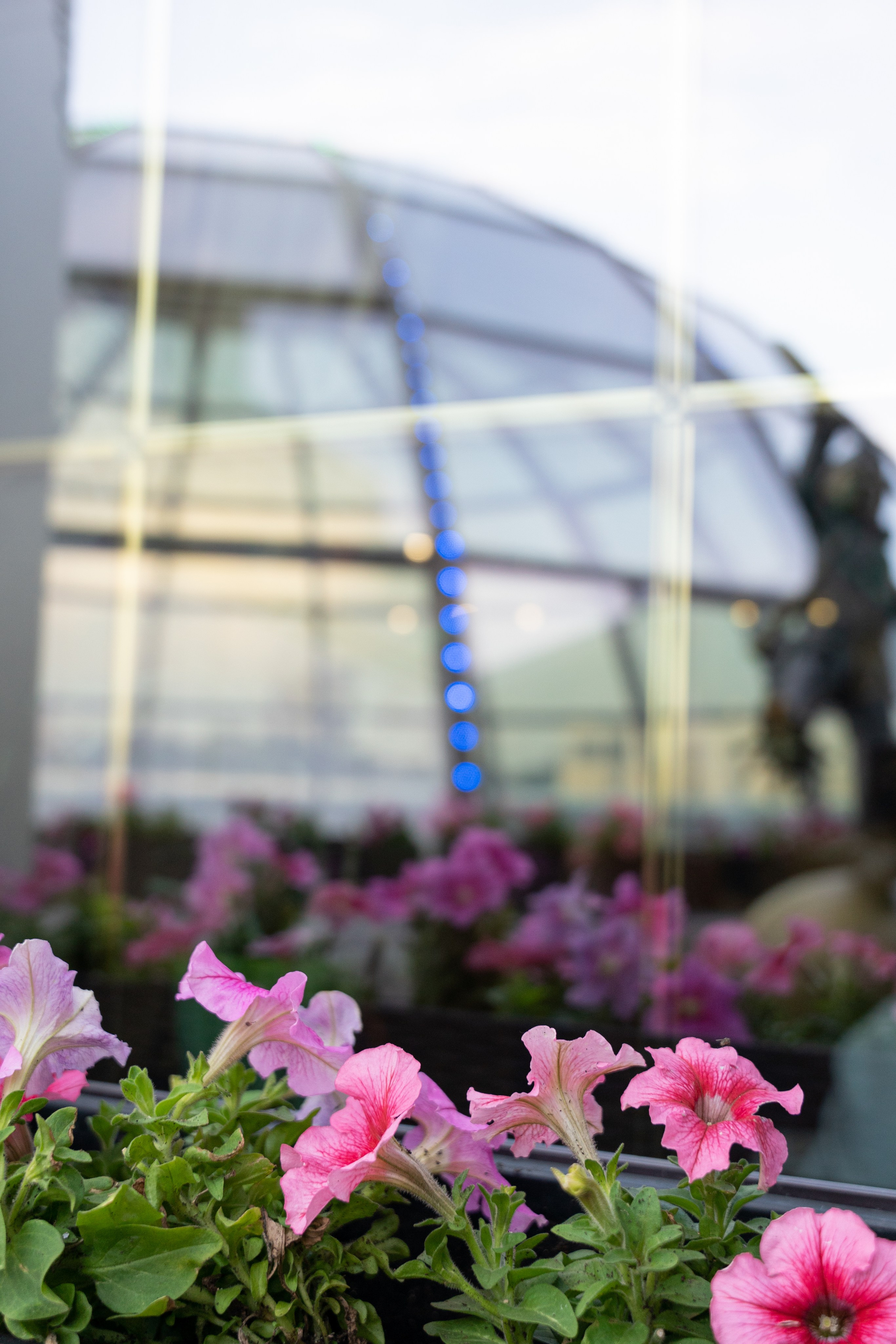 МАСТЕР-КЛАСС «РИСОВАНИЕ ВИНОМ». Фотограф на любое мероприятие