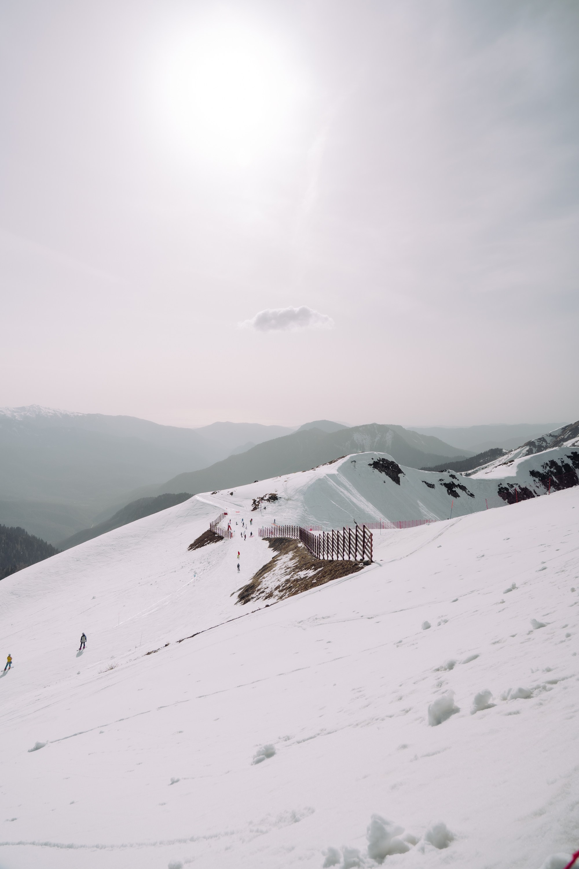 Yandex 360 & NewStarCamp