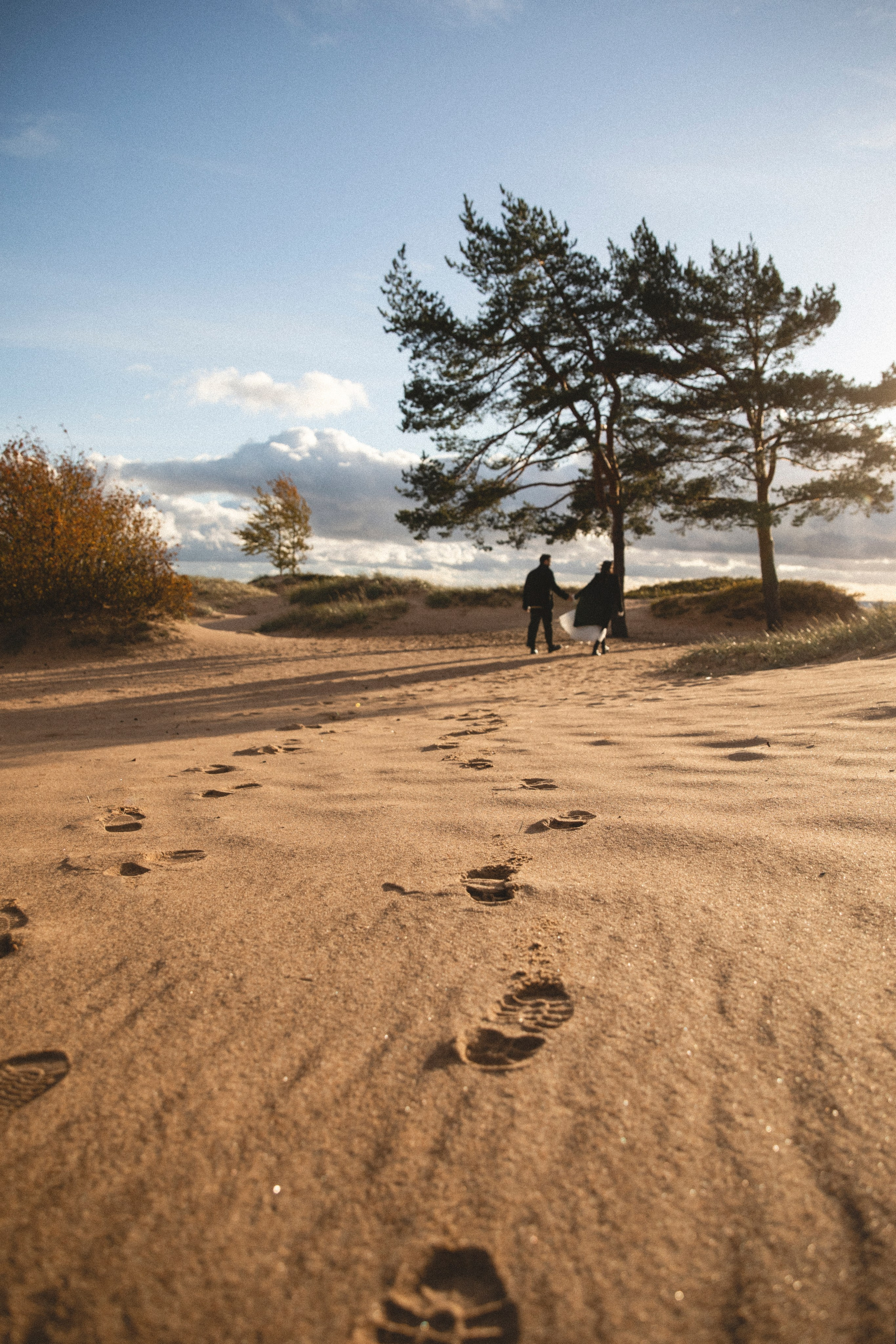 Диана и Кирилл. Свадебный и портретный фотограф