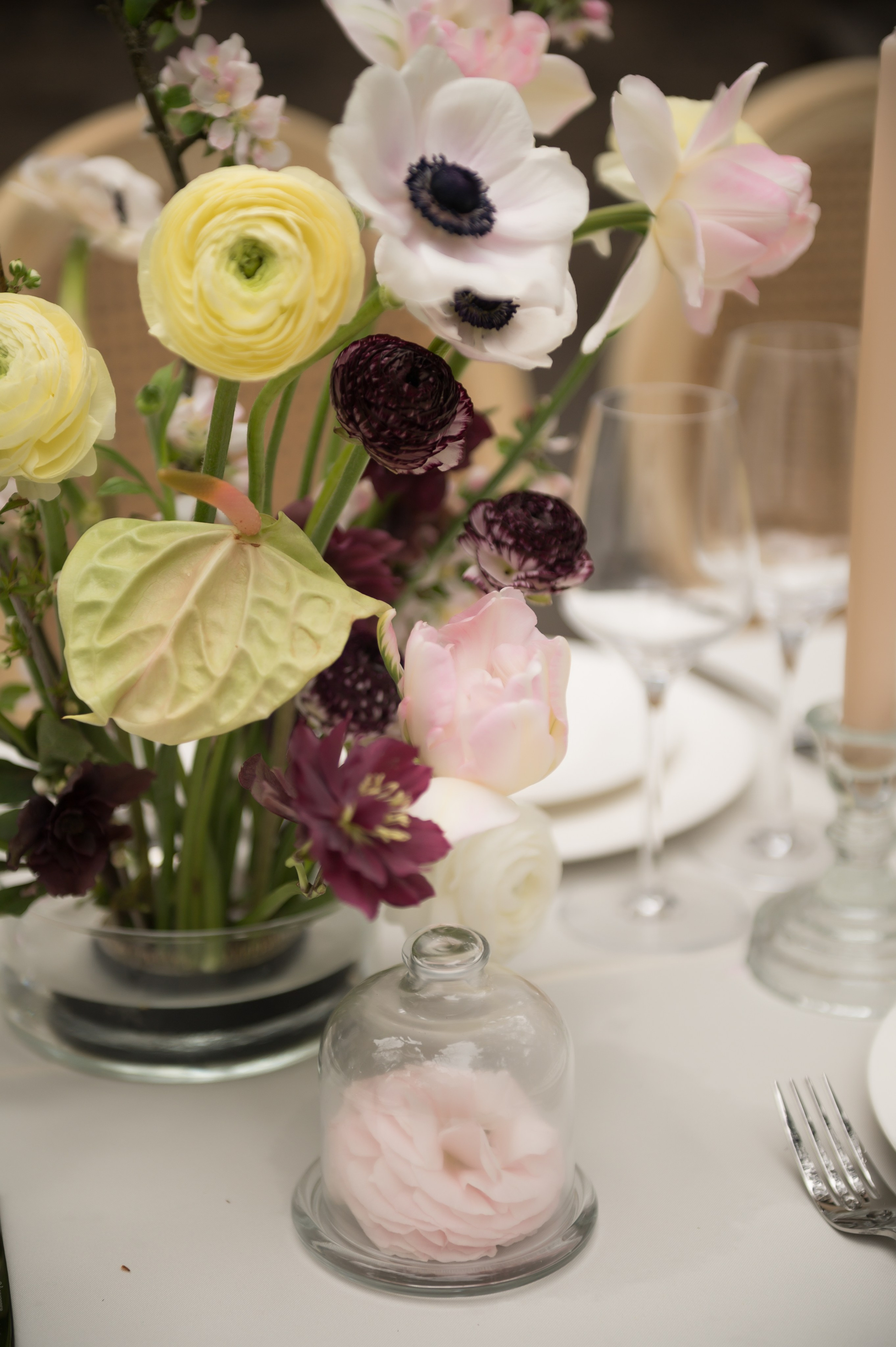 Виктор и Елена. Главная