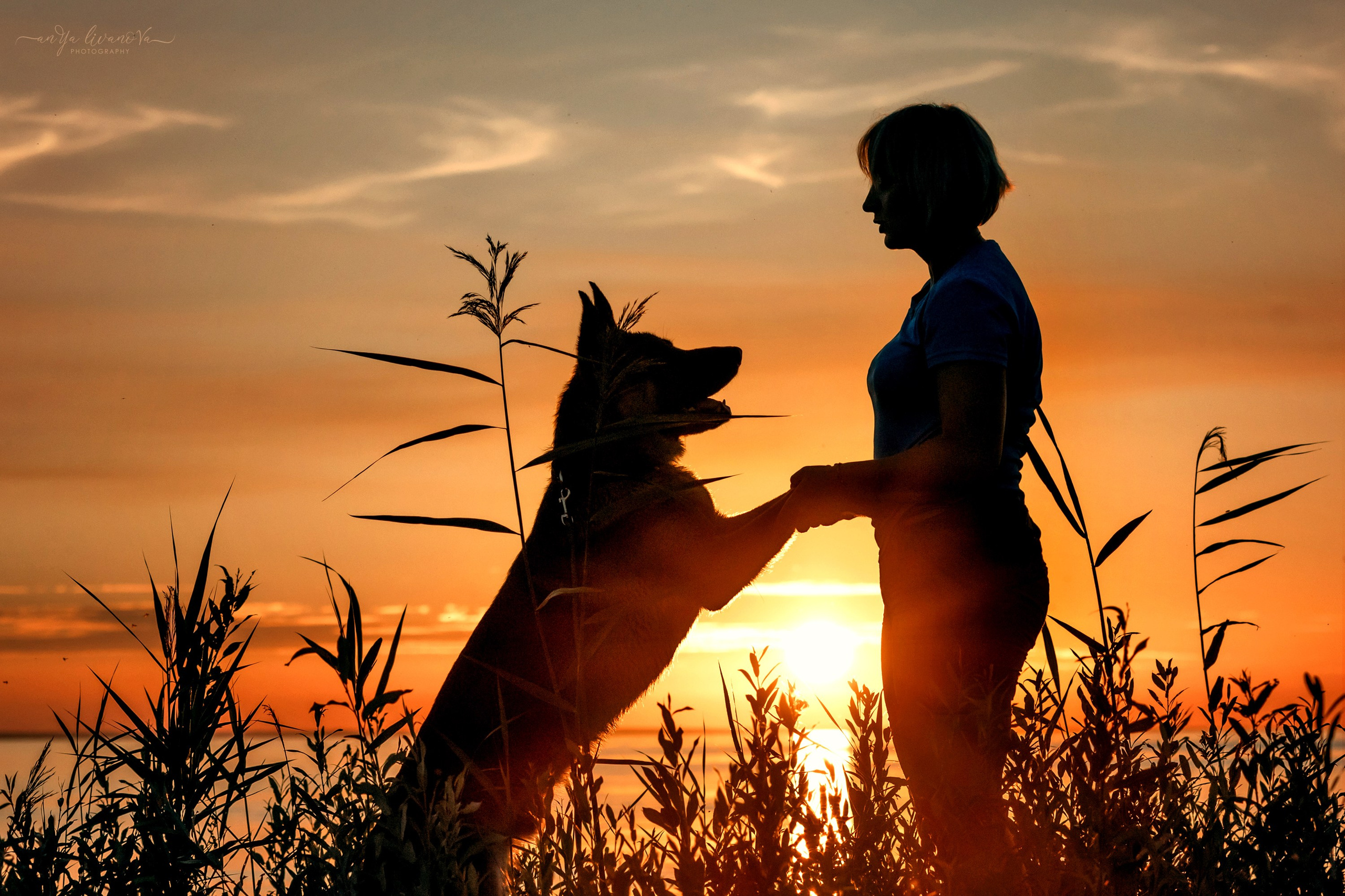 Прайд на море. Фотограф анималист Аня Ливанова | Рыбинск
