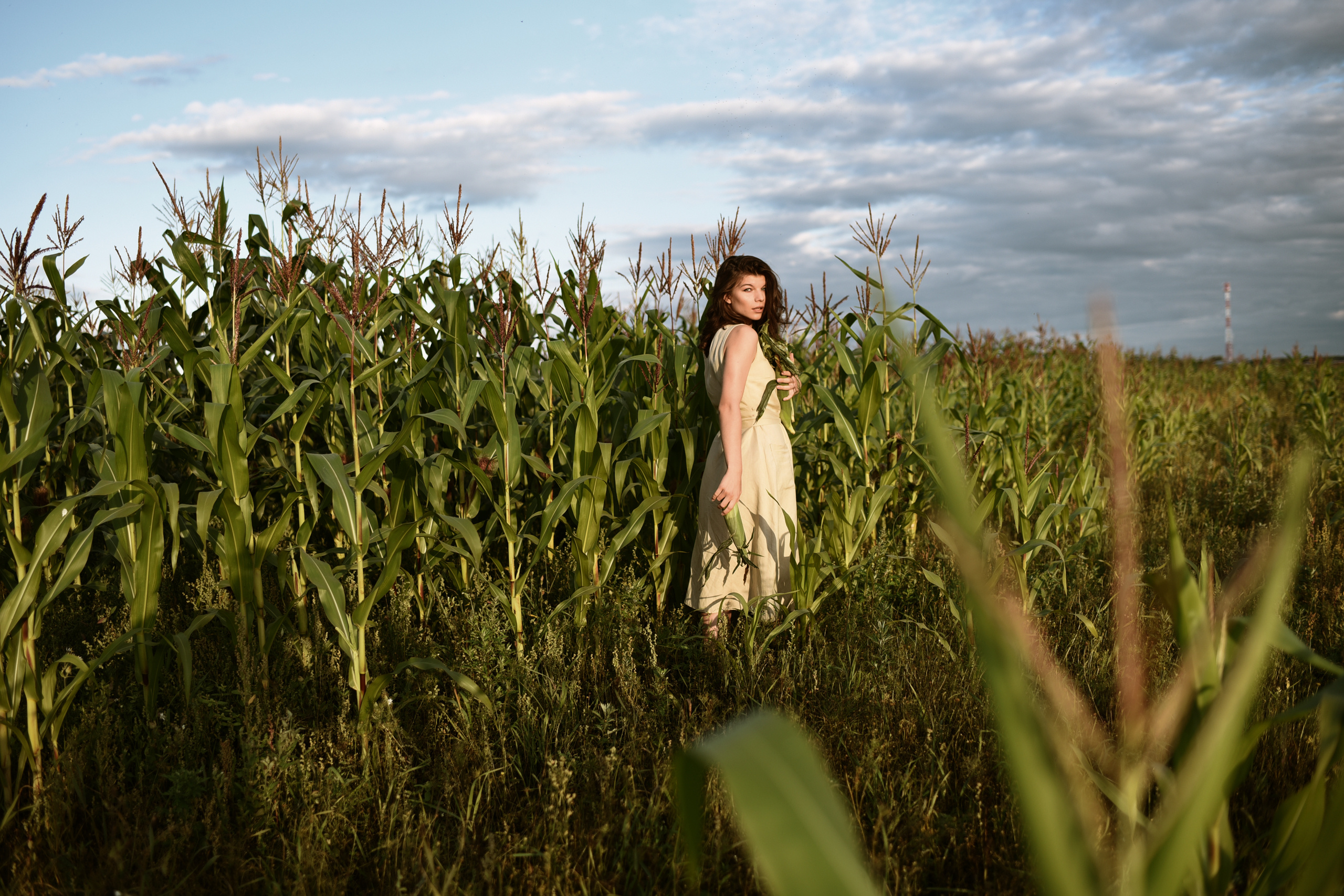 Кукуруза. Семейный и детский фотограф во Фрязино, Ивантеевке и Щелково Матвеева