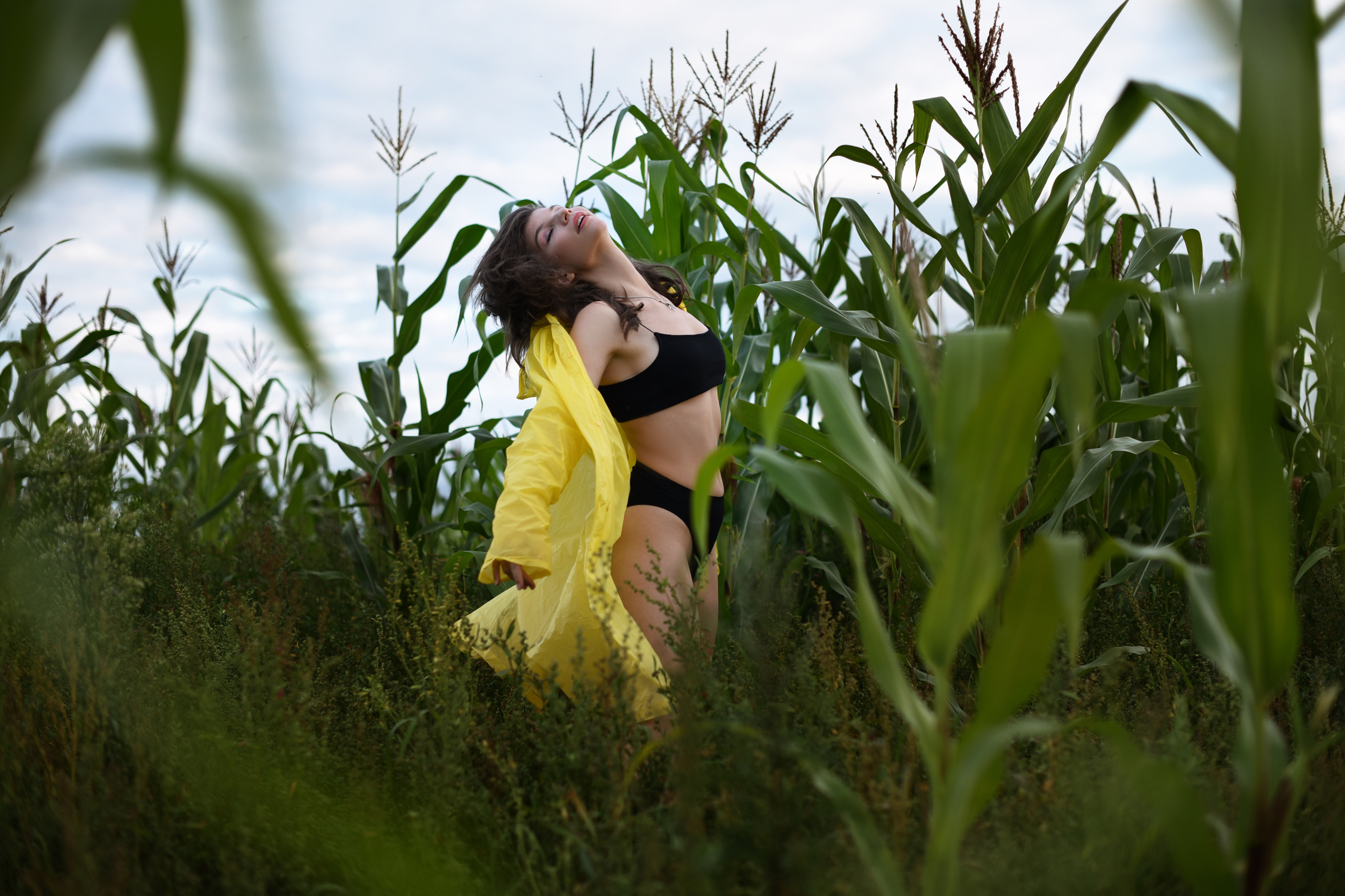 Кукуруза. Семейный и детский фотограф во Фрязино, Ивантеевке и Щелково Матвеева