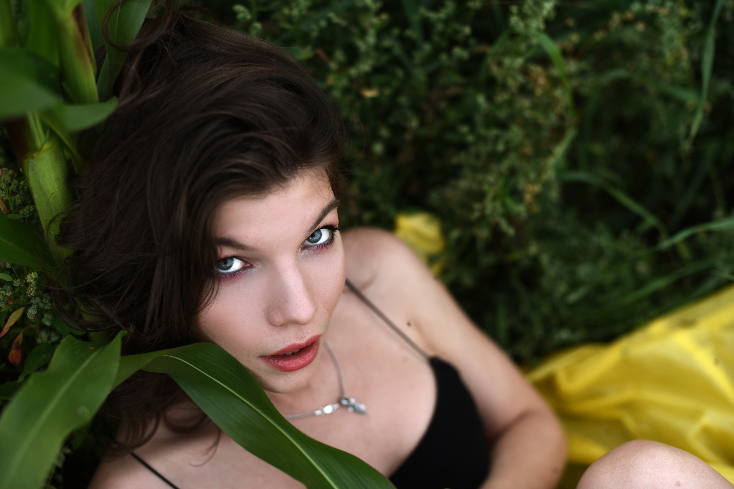 Кукуруза. Семейный и детский фотограф во Фрязино, Ивантеевке и Щелково Матвеева