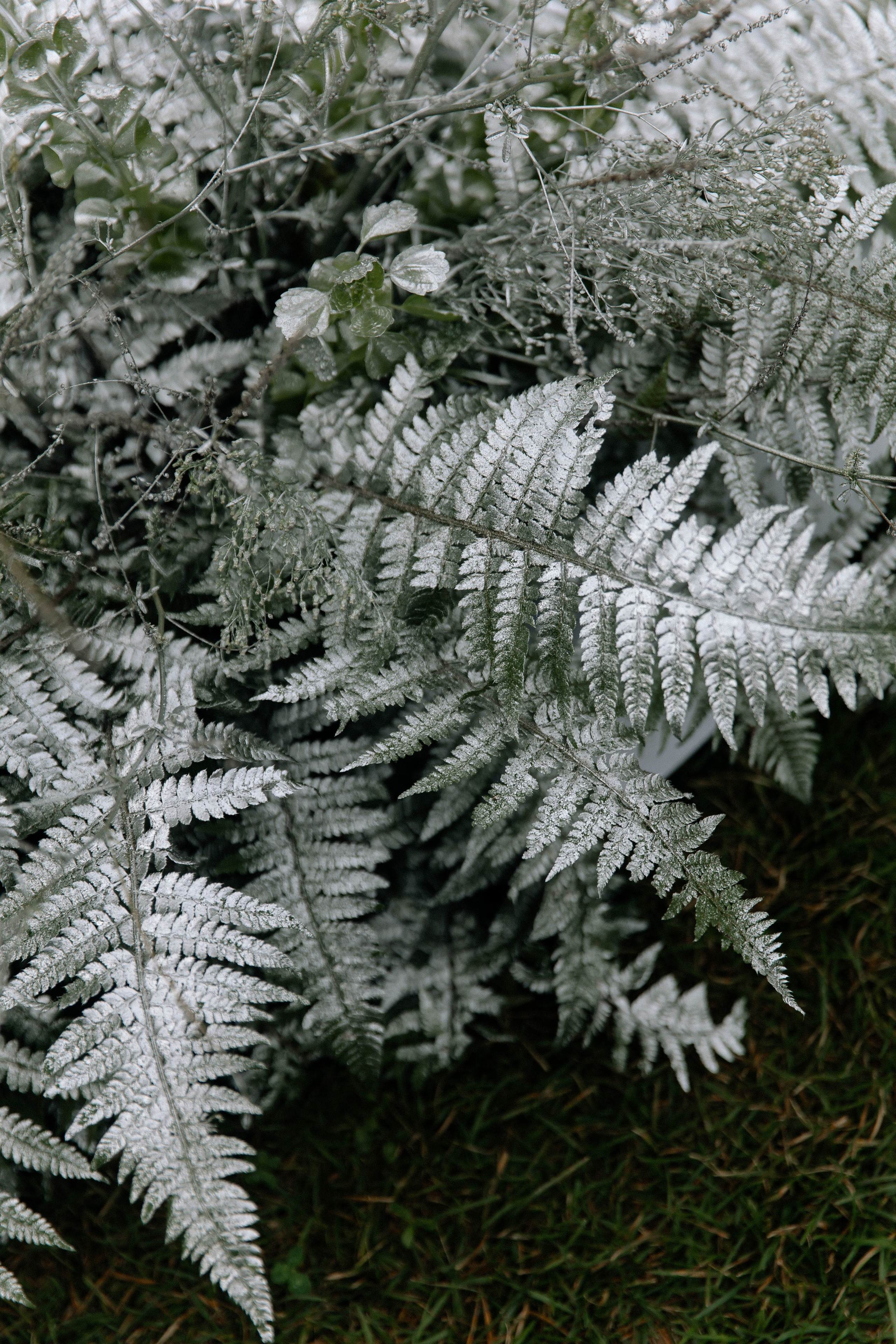 Дыня или арбуз?. Свадебный фотограф Алина Хабарова