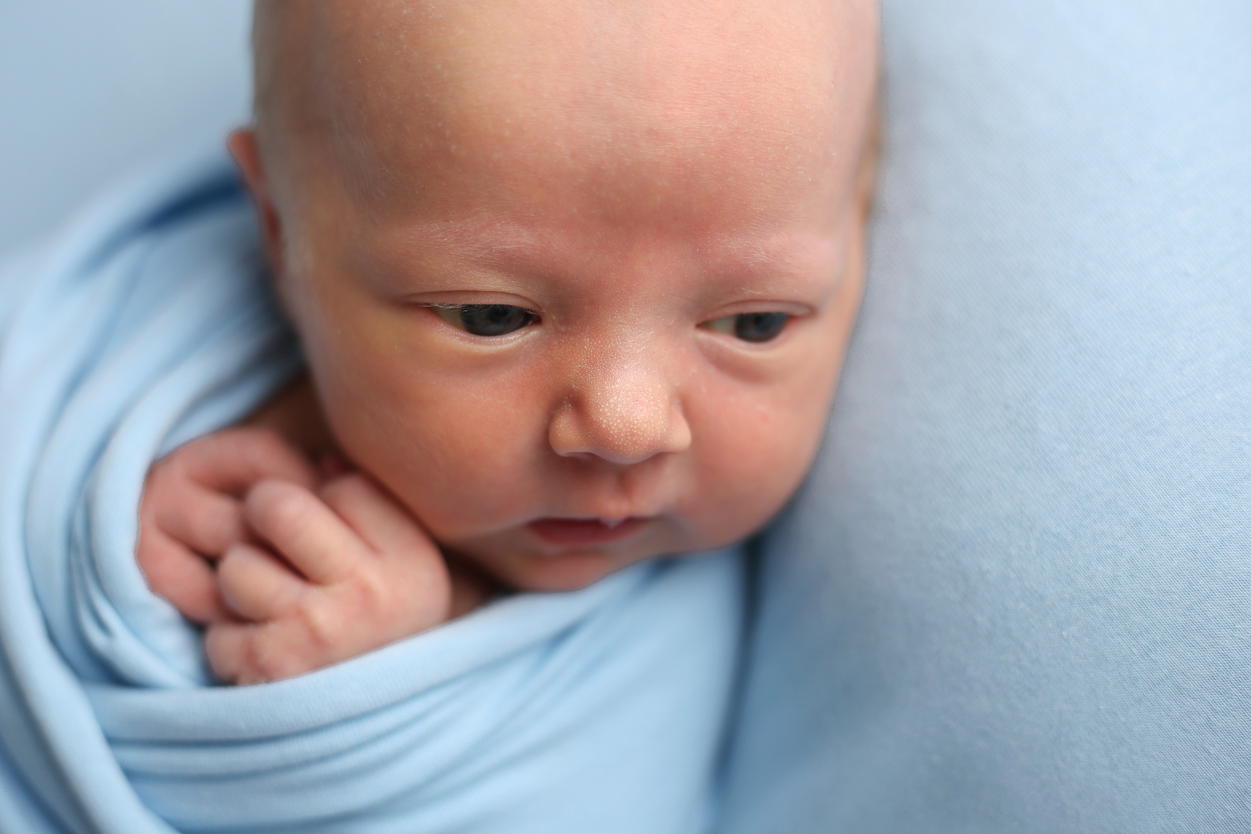 Анна (новорожденные). Главная