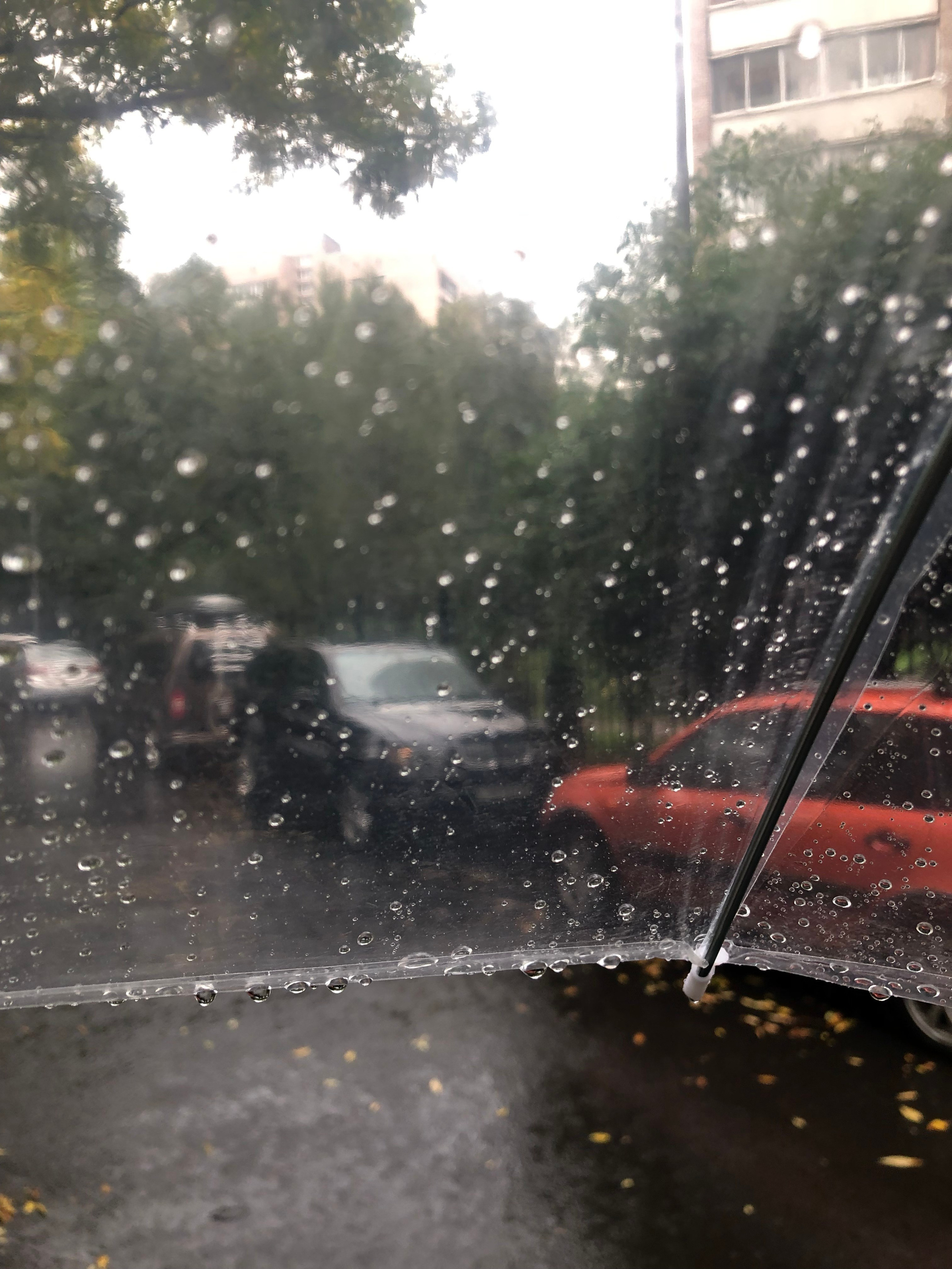 Сентябрь. Семейный, Свадебный фотограф СПБ Питер— Романова Екатерина