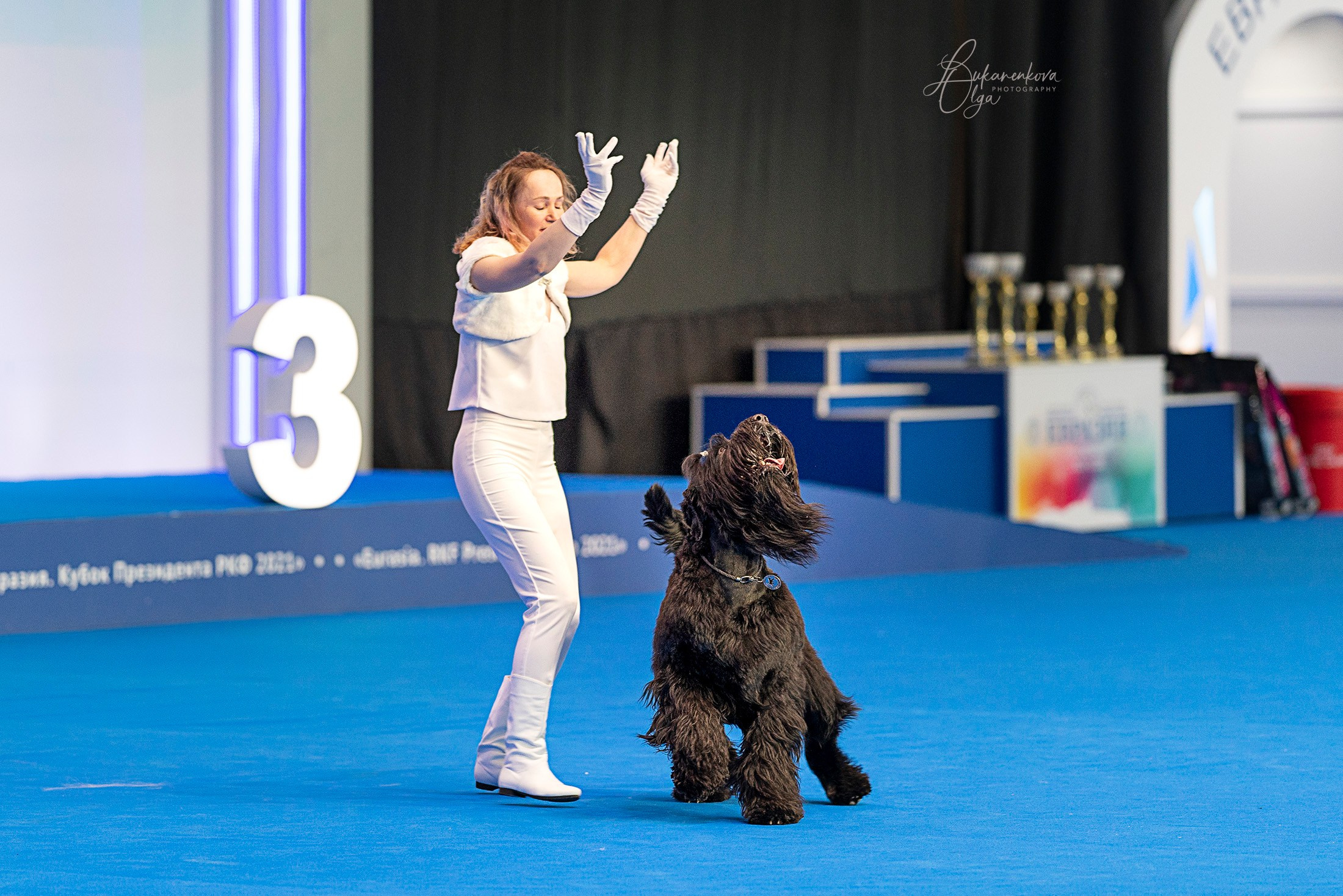 Танцы. Фотограф анималист Ольга Луканенкова в Москве