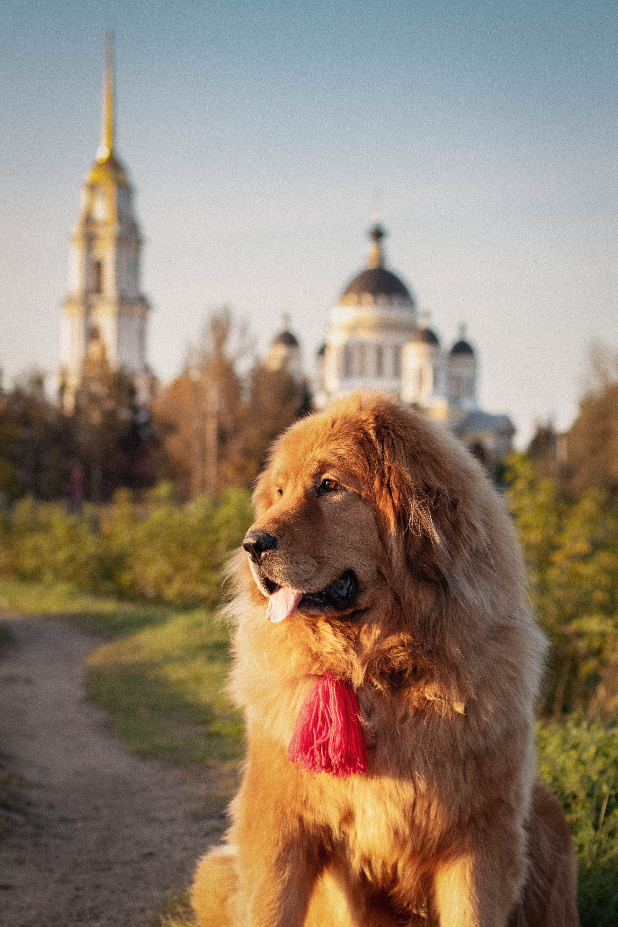 Роу. Юлия Микульская. Рыбинск