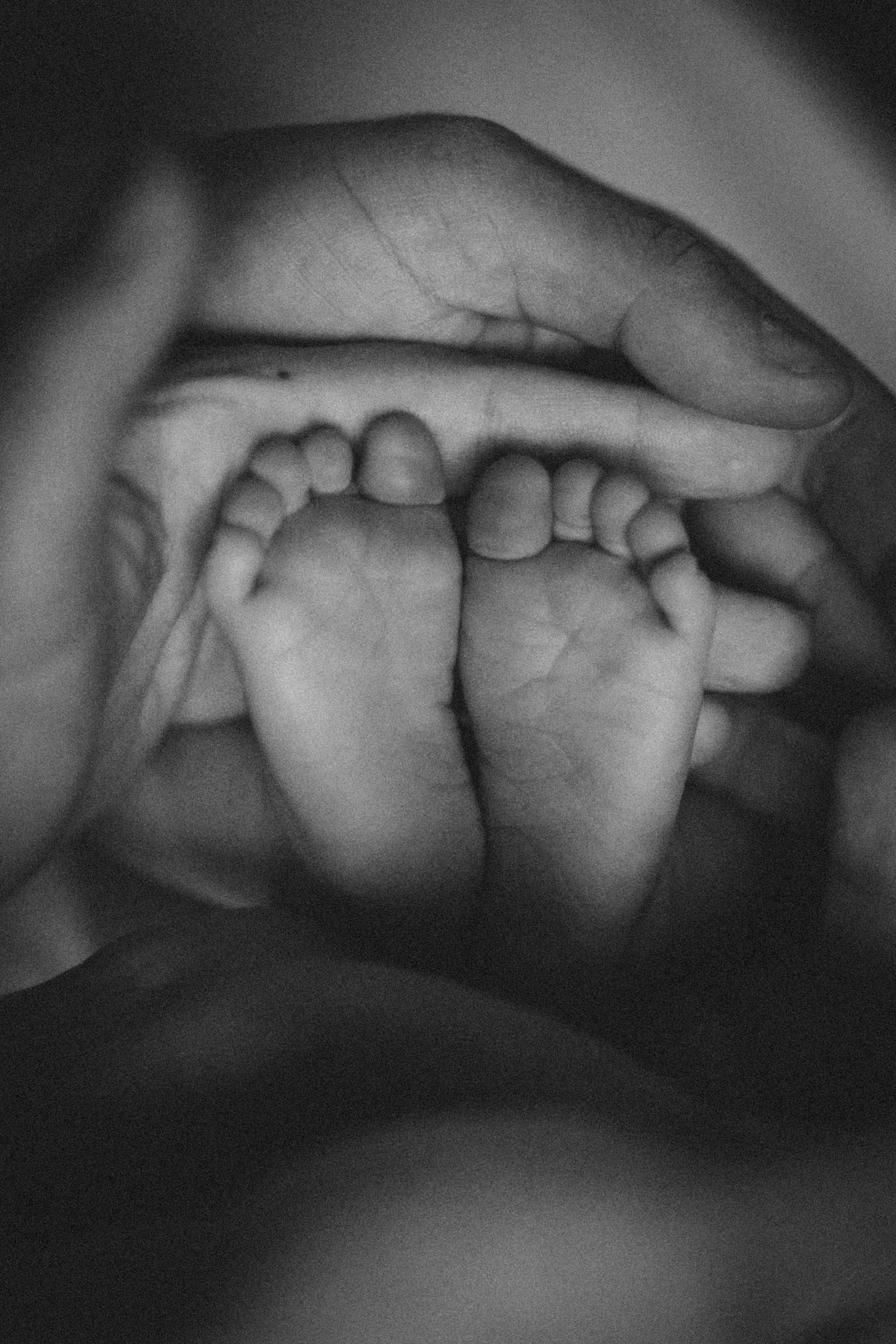 Вика, Вова и Федя. Семейный фотограф и фотограф на роды в Ростове-на-Дону Мухина Виктория