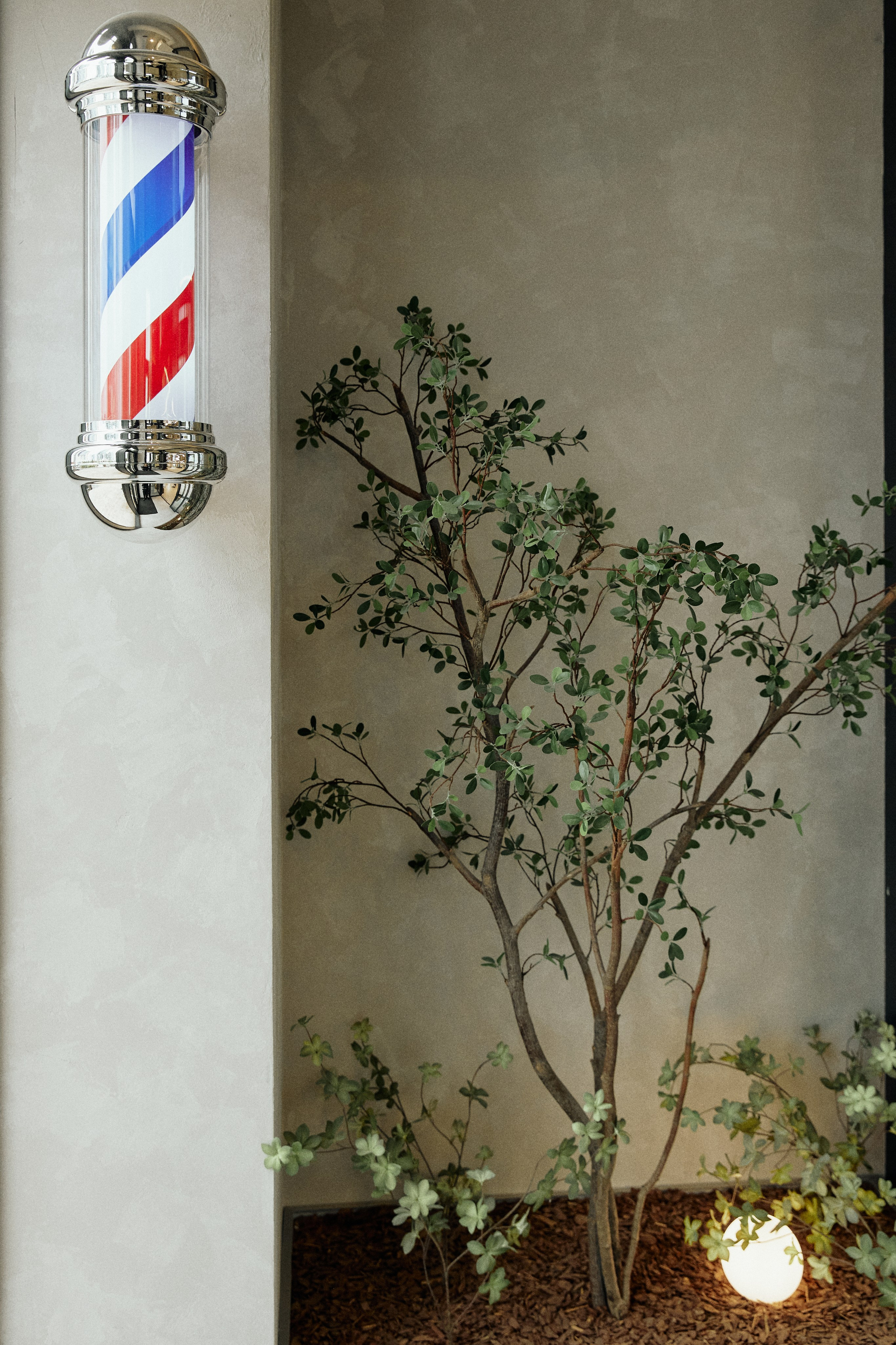 «BOY CUT». Дмитрий Мазуркевич: Профессиональный Репортажный Фотограф