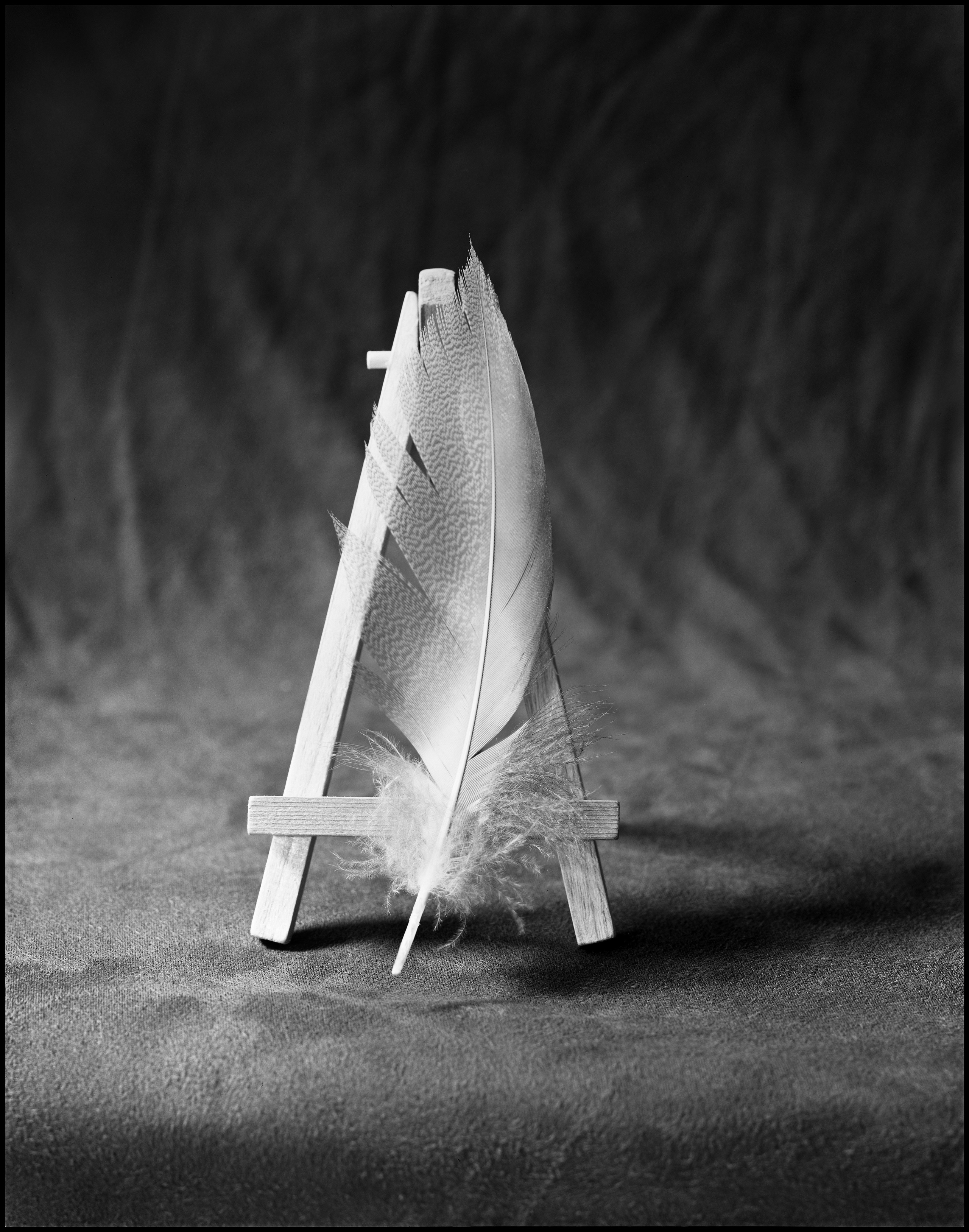 Натюрморт. Кондрюк Сергей фотограф |художник