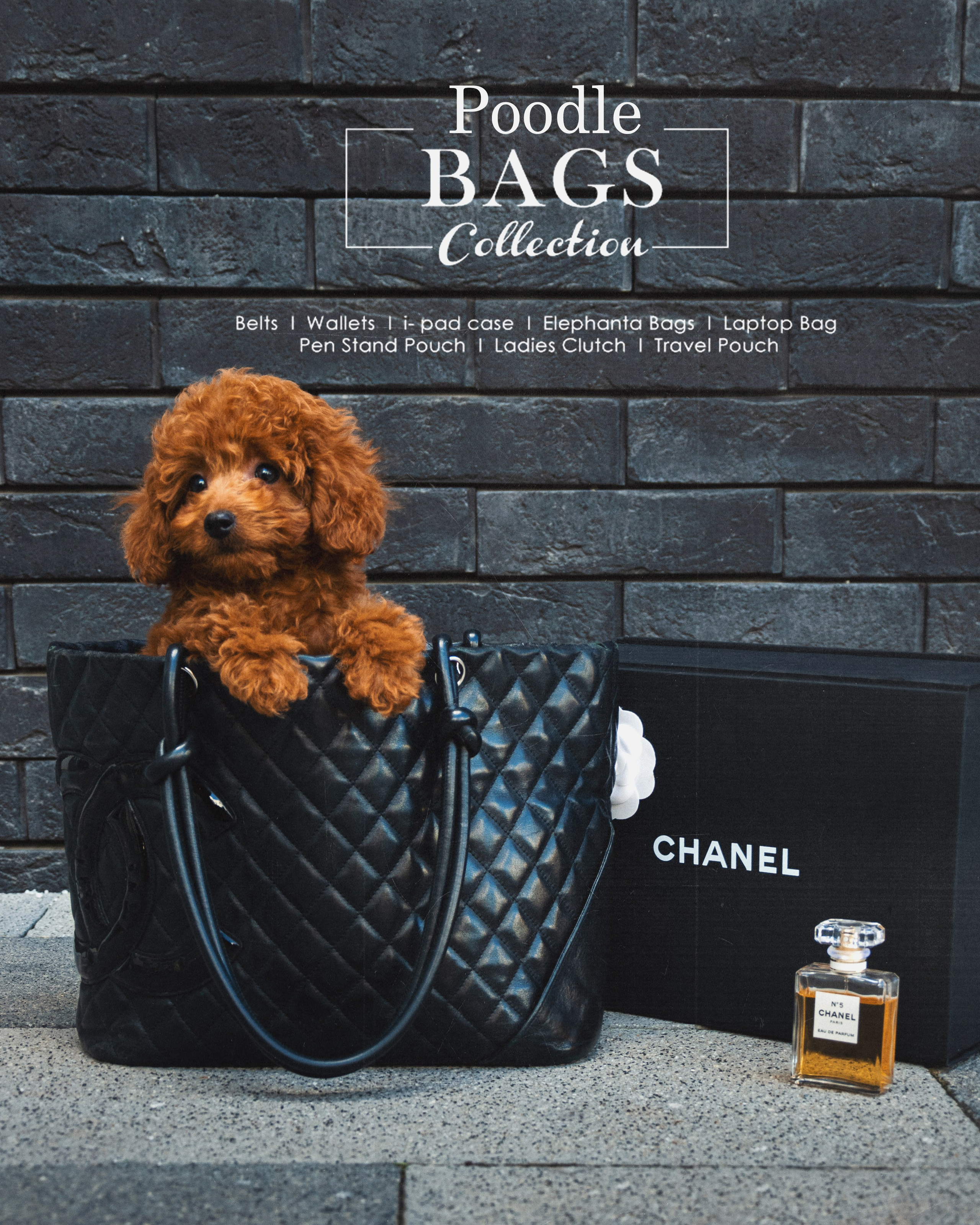 ФОТОСЕССИЯ ЩЕНКОВ. Будуарный фотограф Kris Murr|Москва|Съемки FASHION|BOUDOIR|NUDE