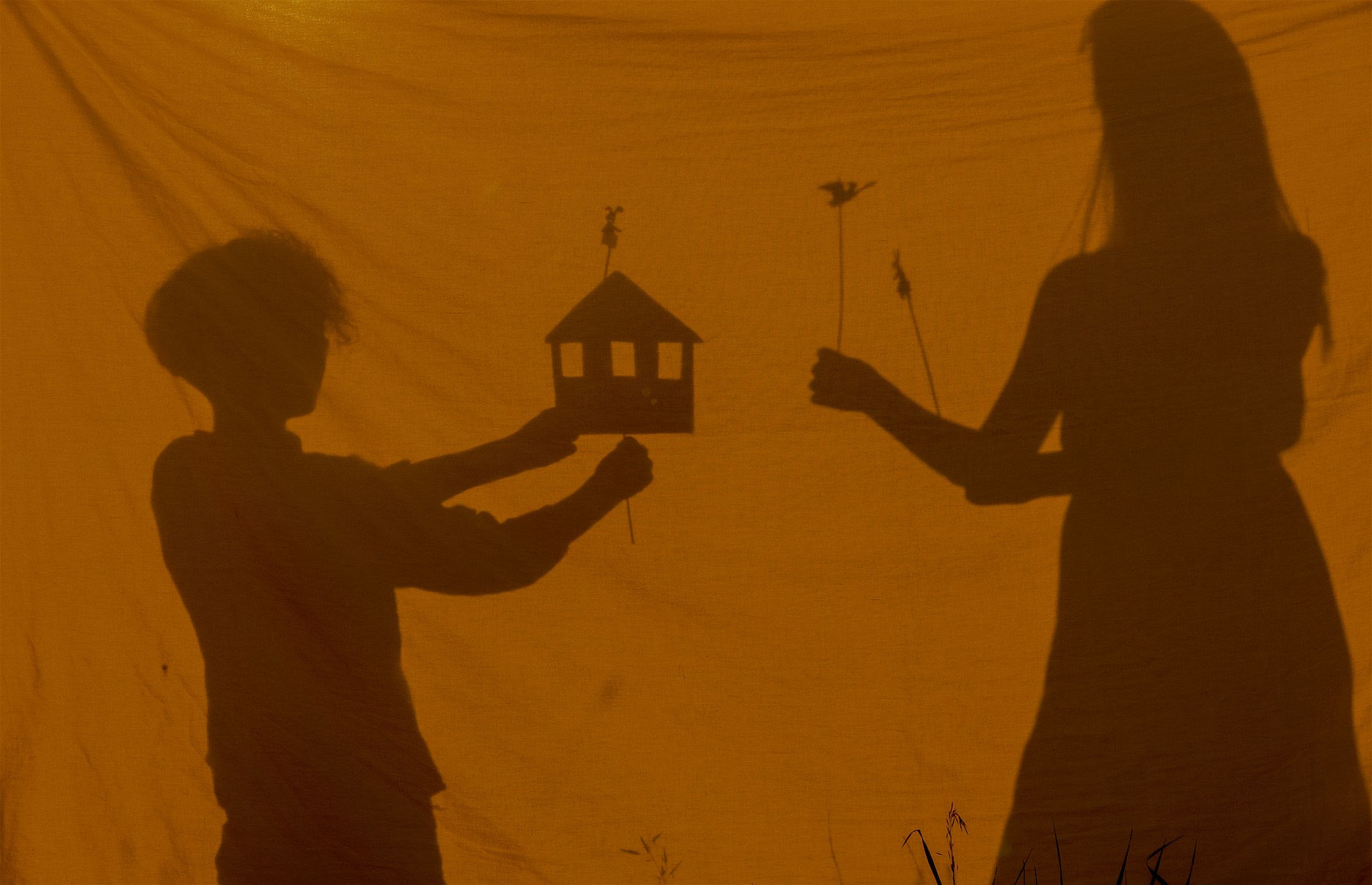 Жуковы. Главная