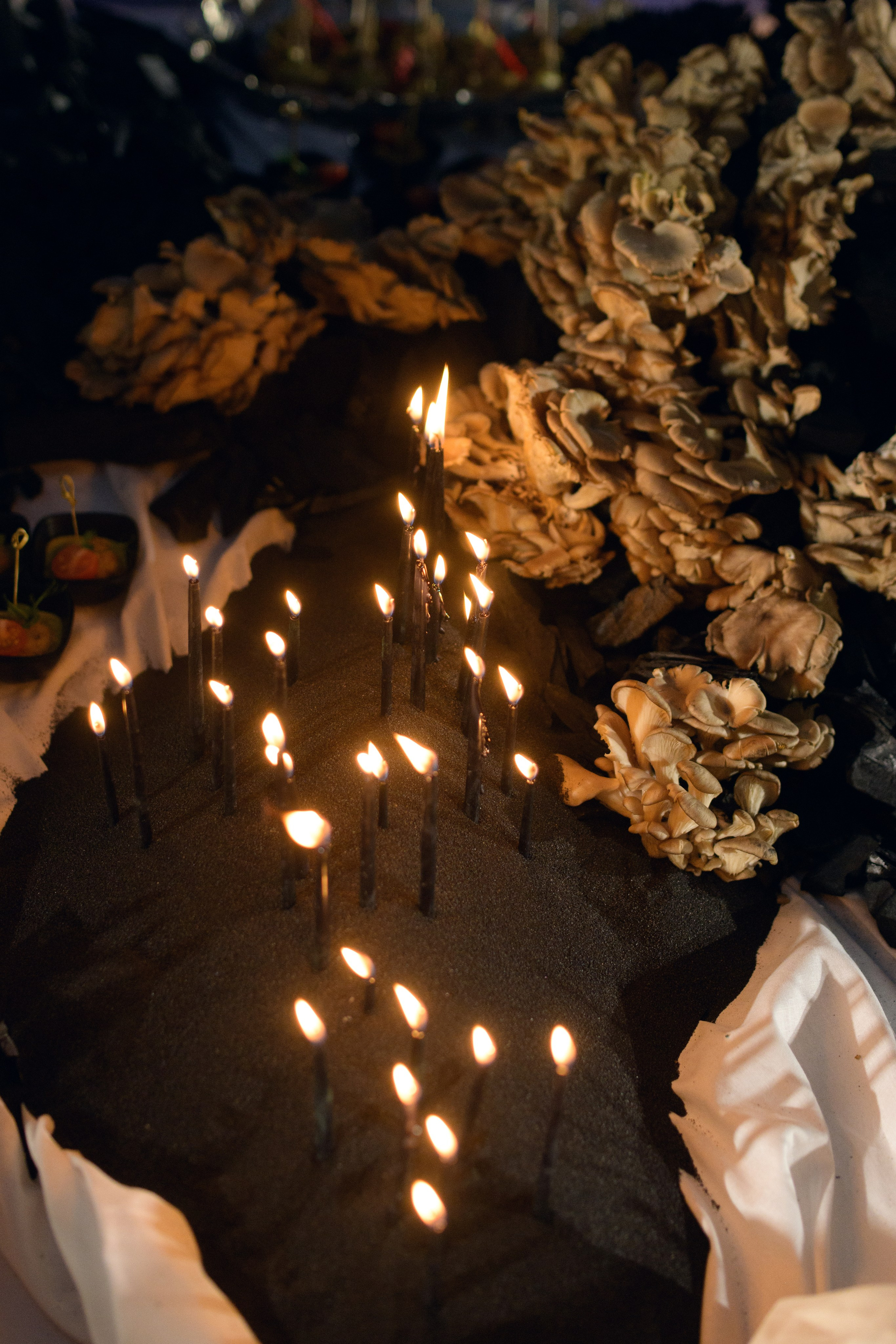 Decor by Favorite catering. Свадебный фотограф в Минске