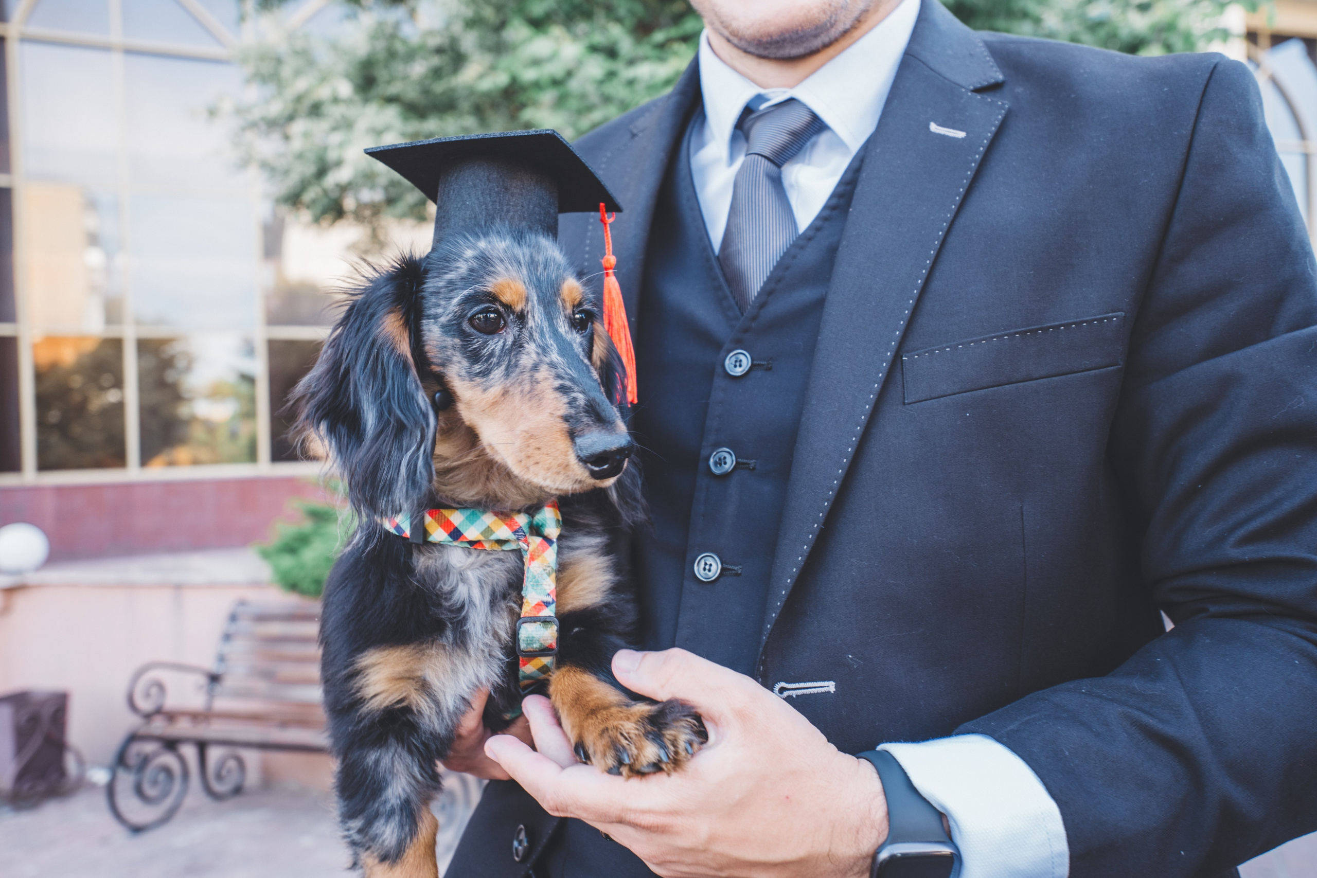 KSMU Students Graduation. Свадебный и семейный видеограф в Курске