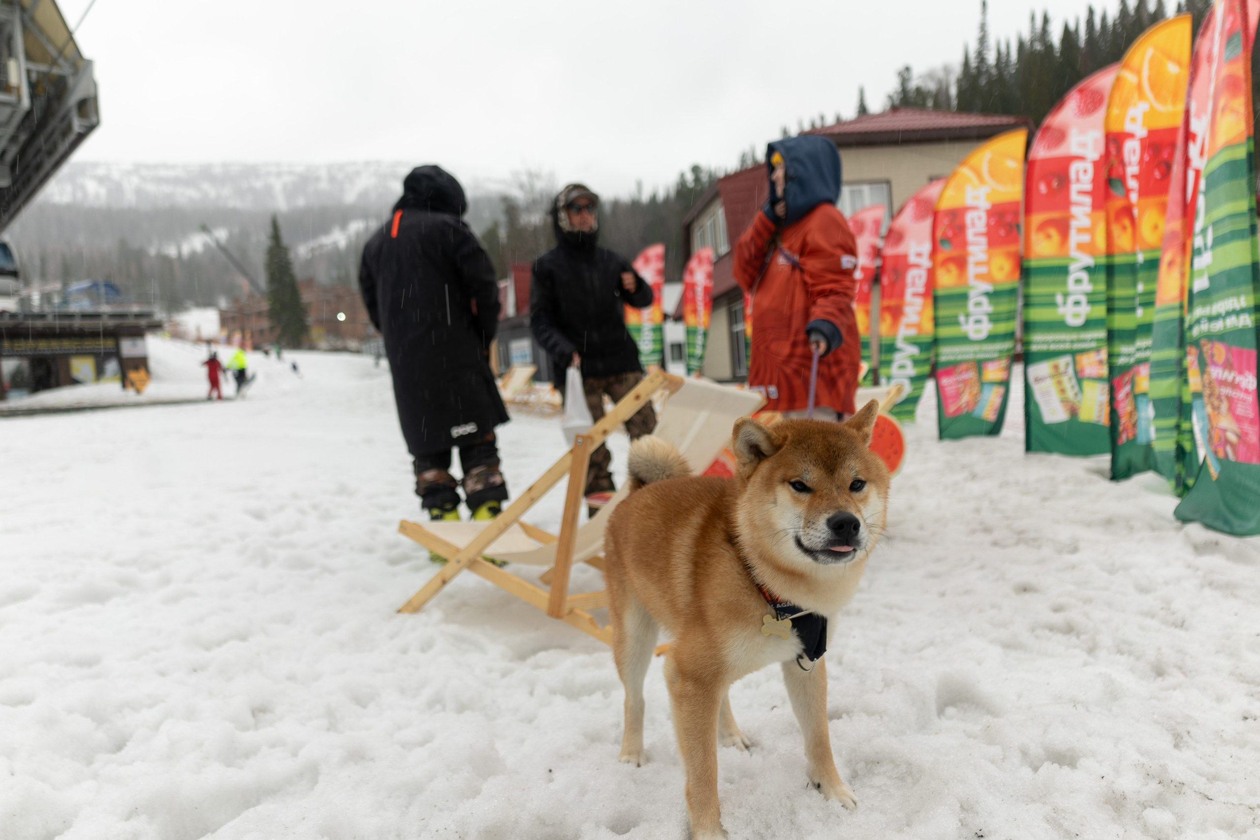 Грелка 18.04.24. Анастасия Паршукова — фотограф Шерегеш Новосибирск