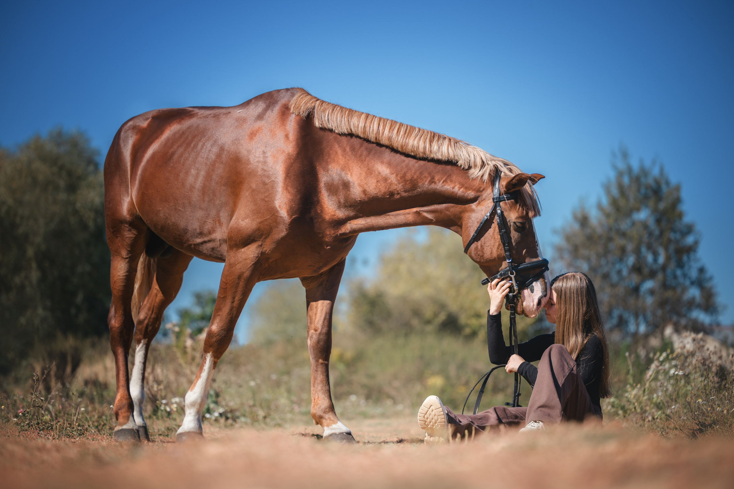 Виктория и Лео. Фотограф Анималист в Москве Анастасия Жучкова