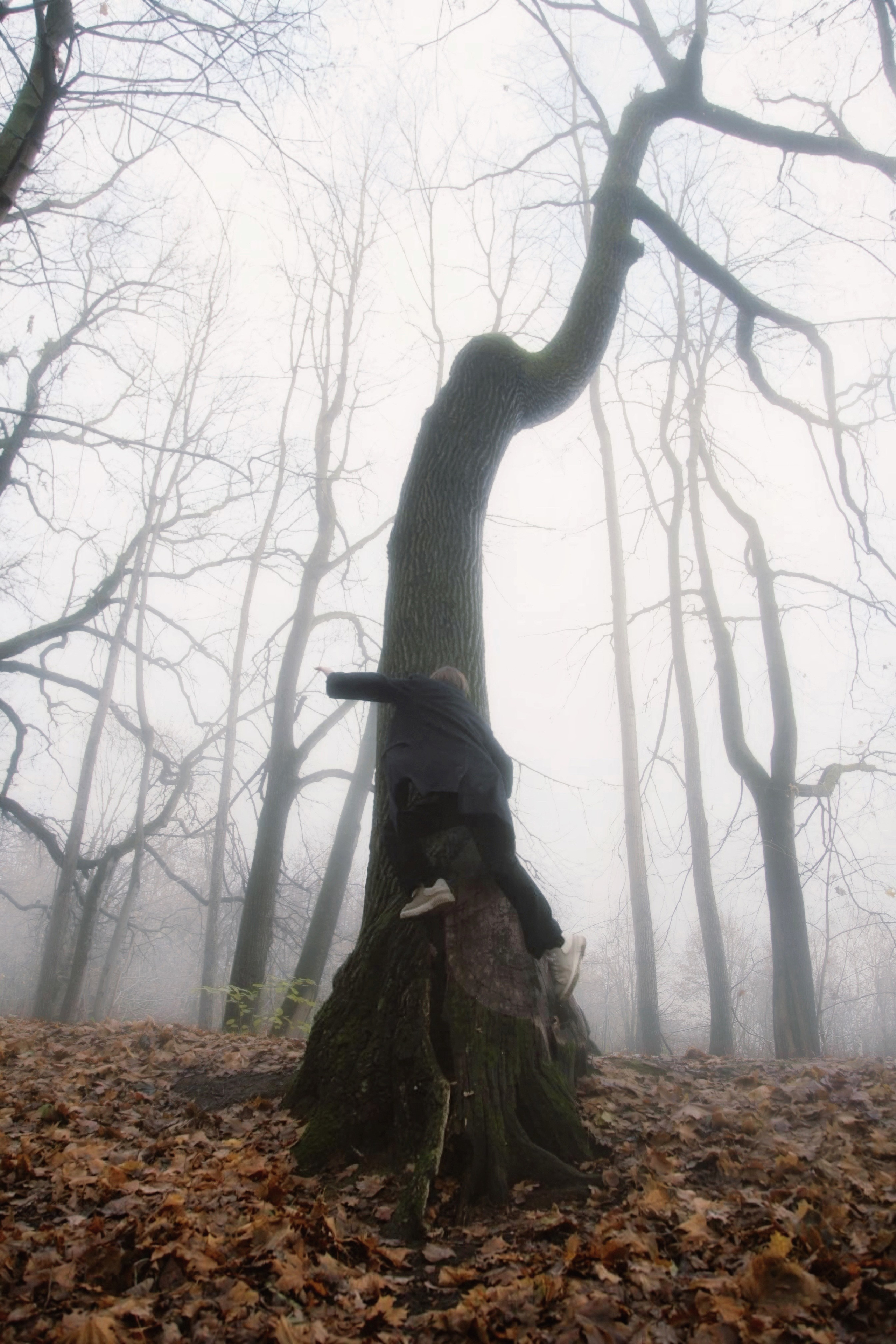 Уличные. Фотограф Рябцева Дарья