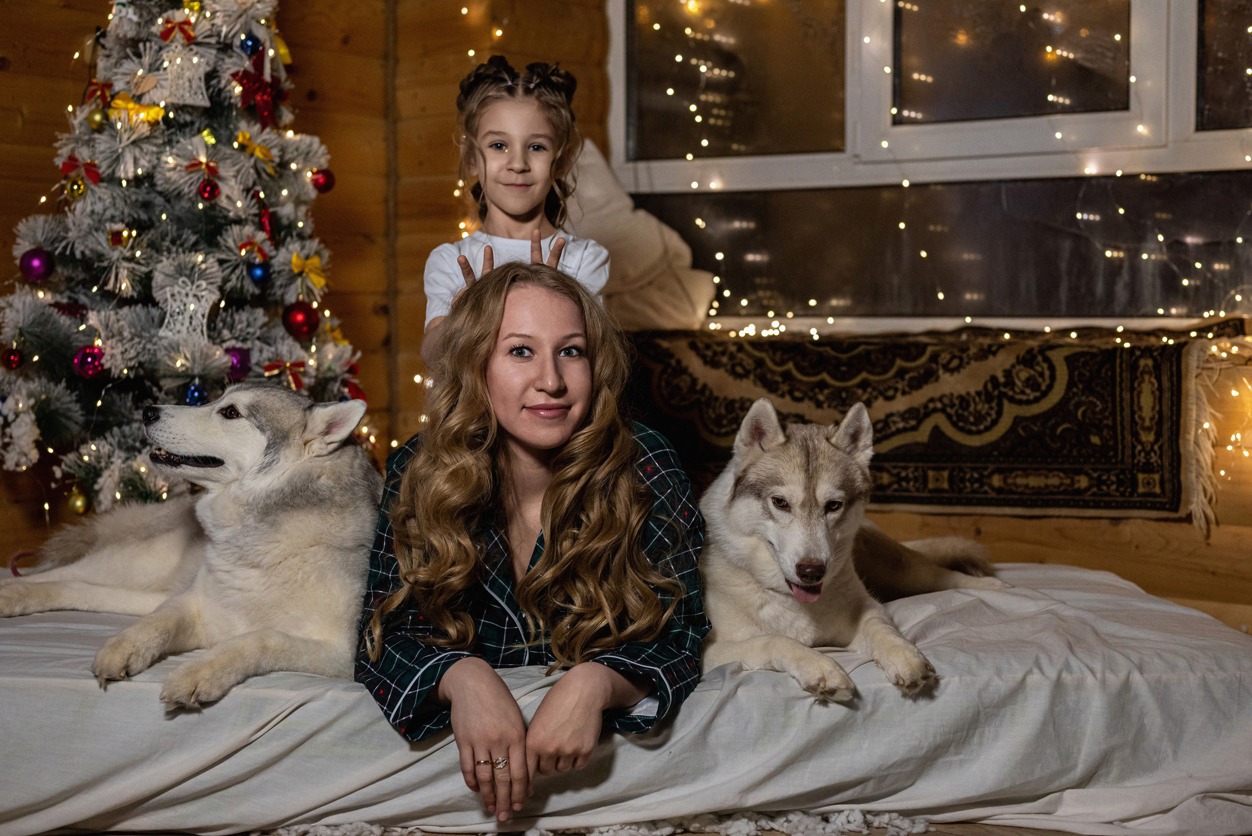 Фотопроект с хаски 2024 г. Фотограф в городе Салават