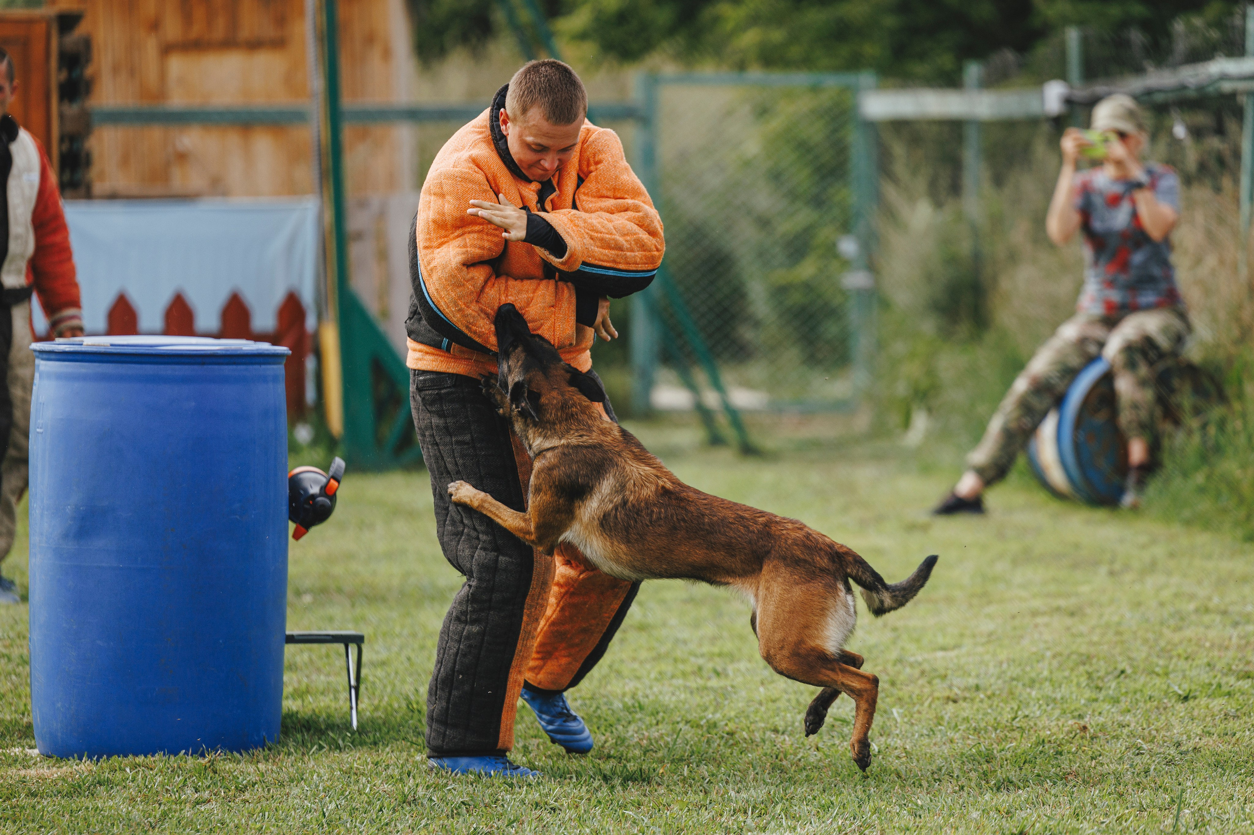 08.08.25-10.08.25 ЧР по мондьорингу г. Вологда. Фотограф-анималист Анна Маринич